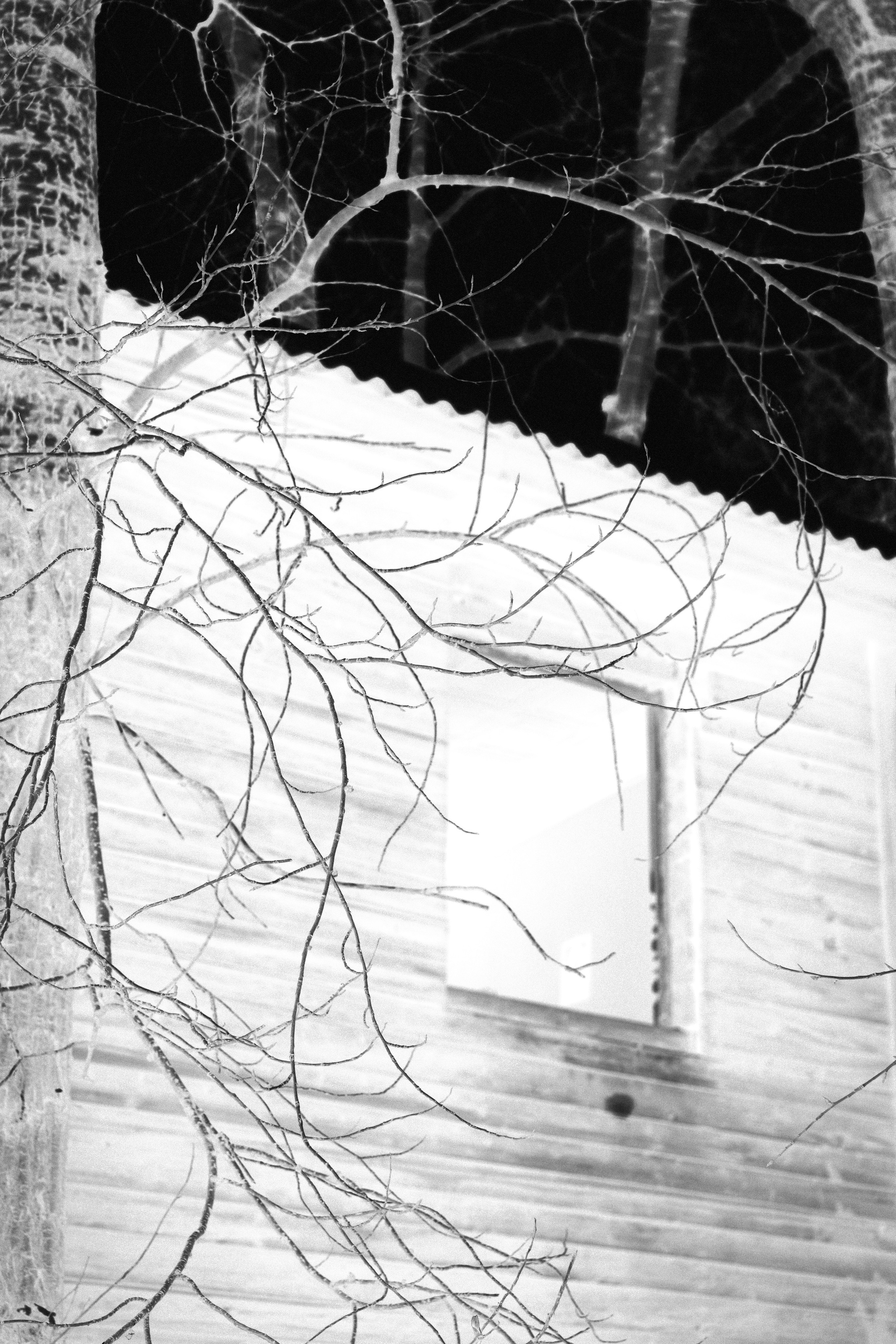 Через Черем. Veronika Popadeikina Photographer