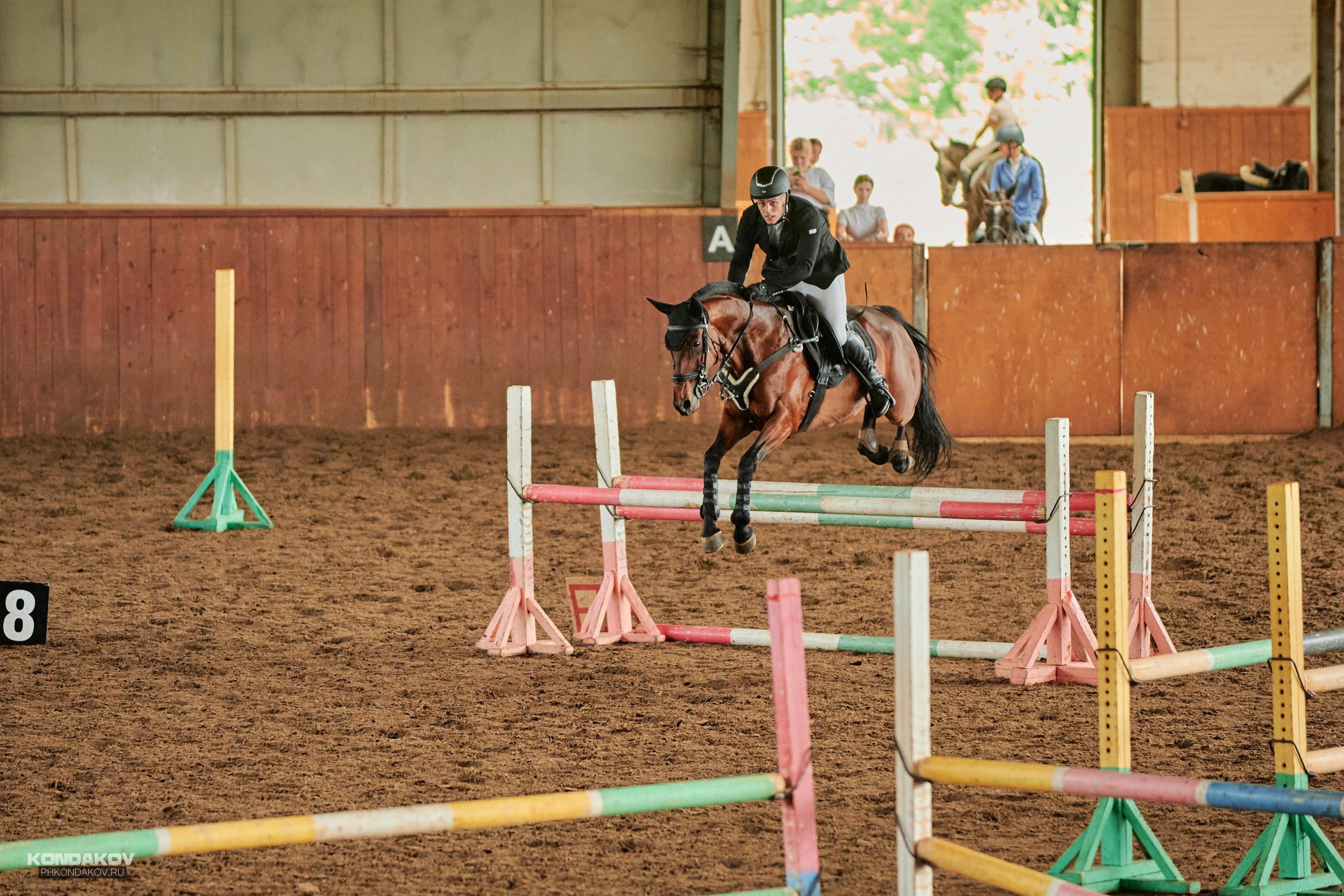 Съемка соревнований по конкуру для Риат. Фотограф в Иваново: Каталожная съемка одежды и постельного белья, Wildberries