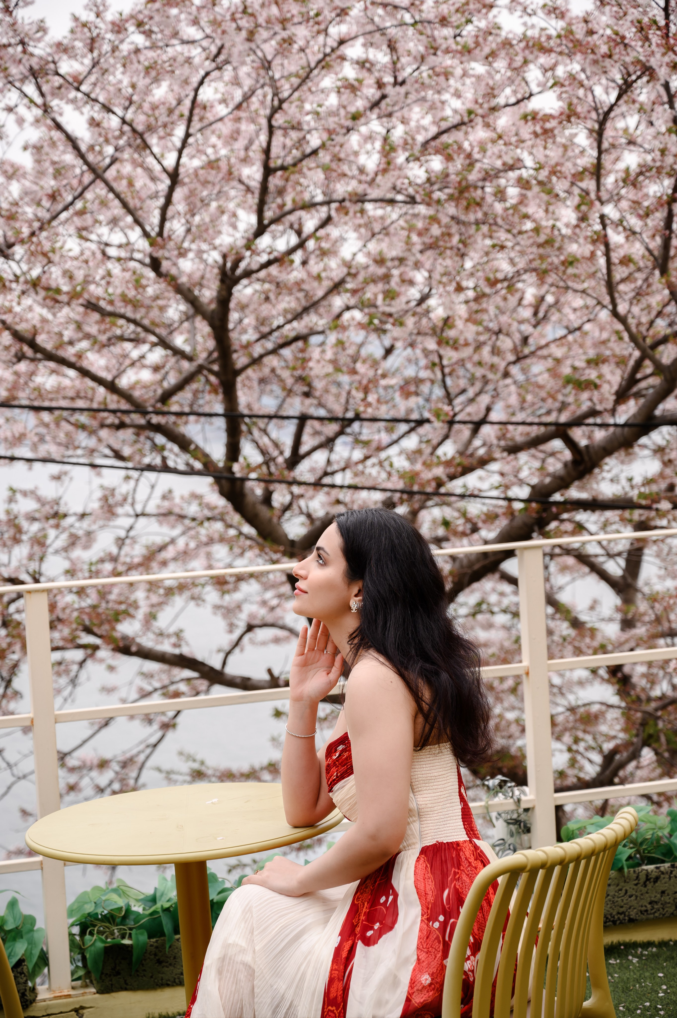 Cherry blossom portrait at Samnak Riverside Park Busan