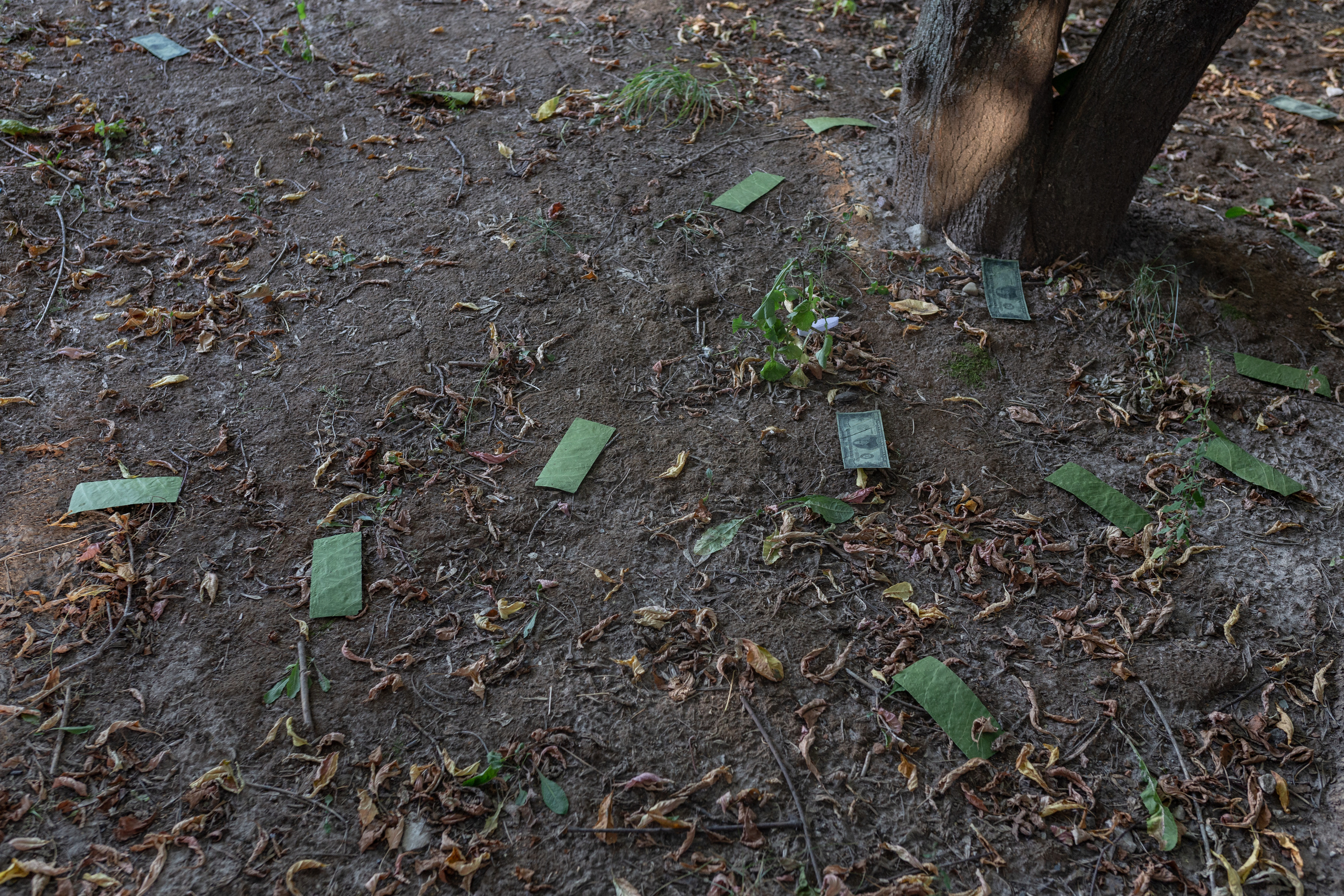 Natural Debt. Igor Tereshkov