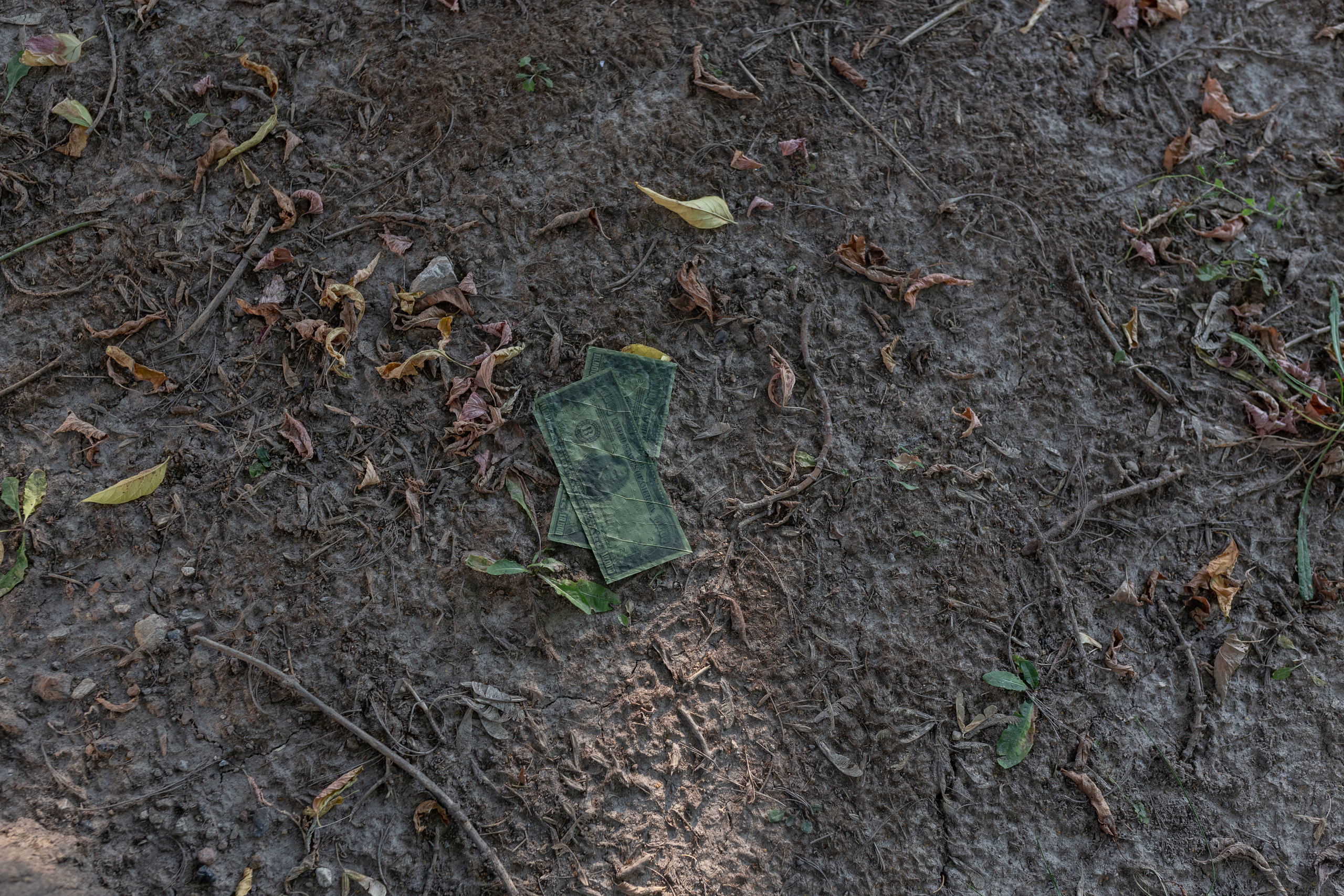 Natural Debt. Igor Tereshkov