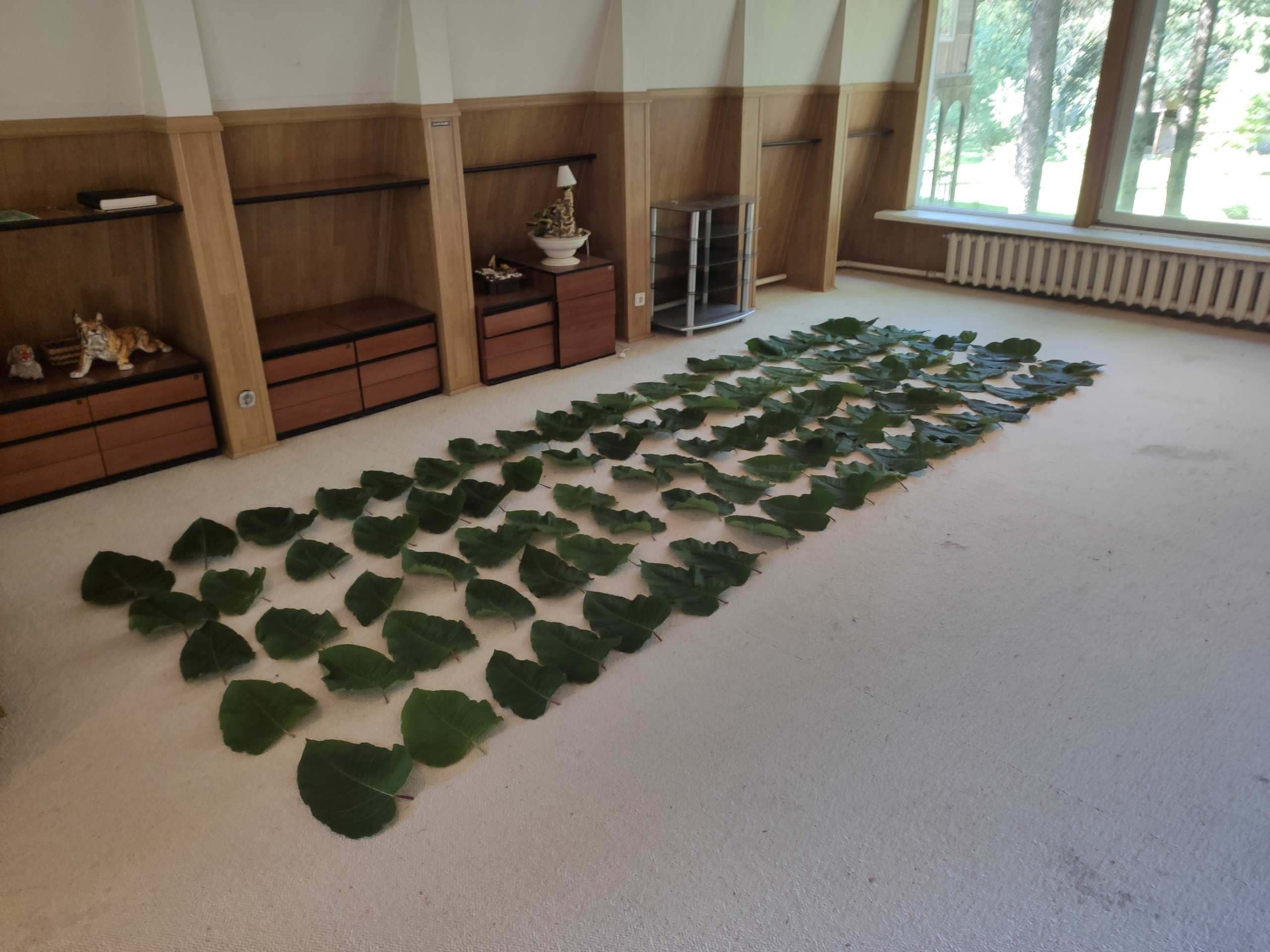 Natural Debt. Igor Tereshkov