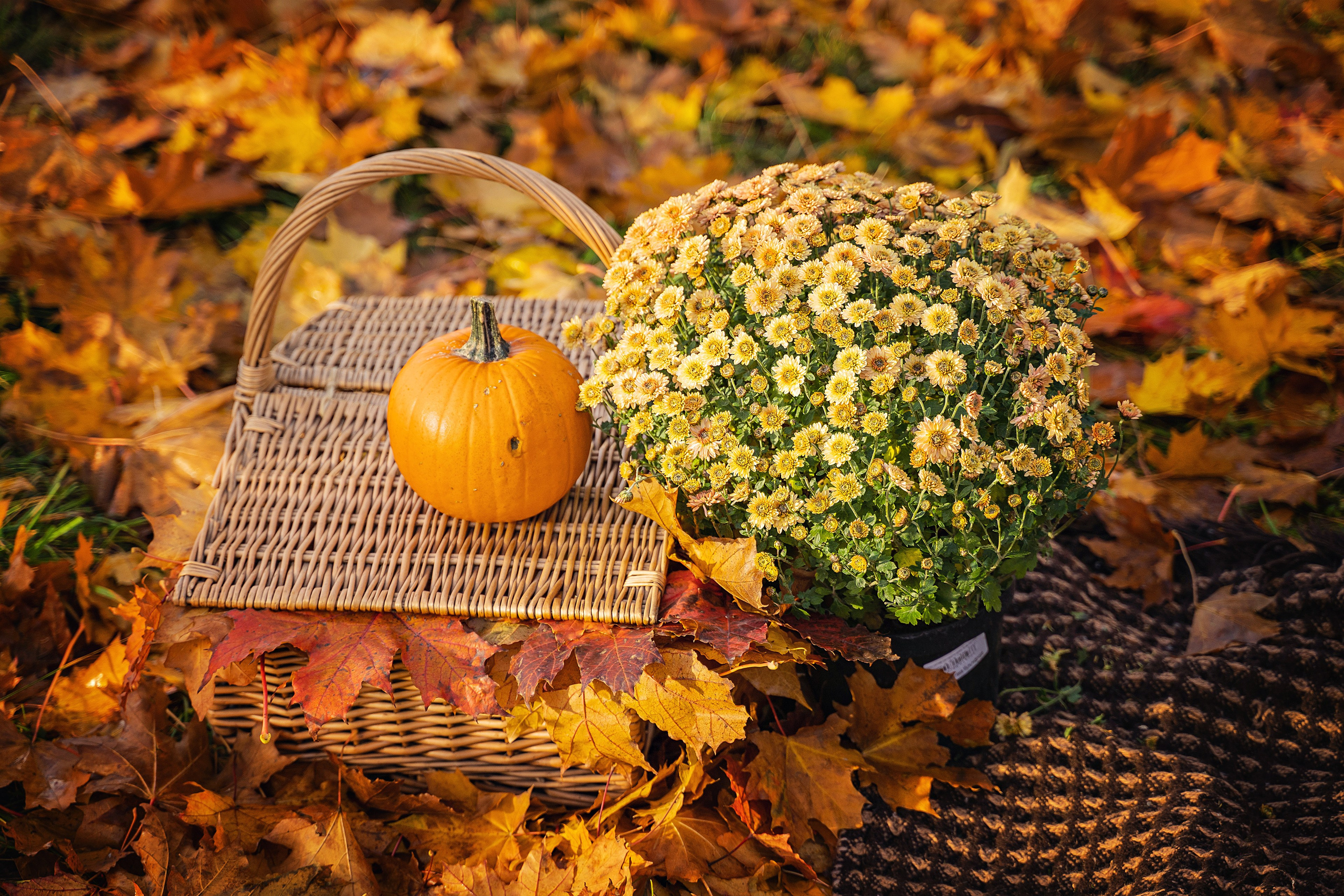 индивидуальные выпускные альбомы 4 класс Минск Жанна Бакунович