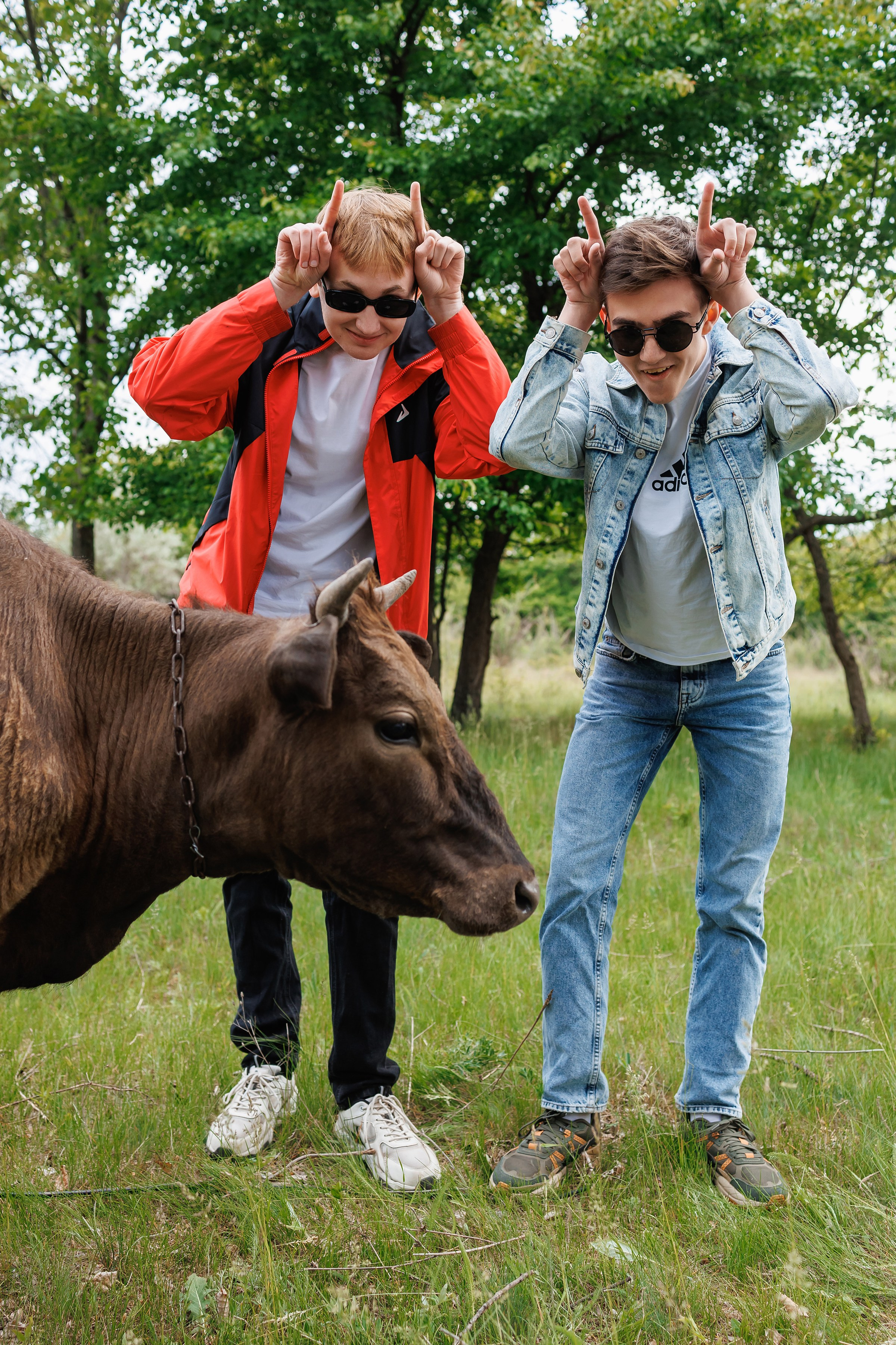 ЦАРЬ-КНИГА подробности