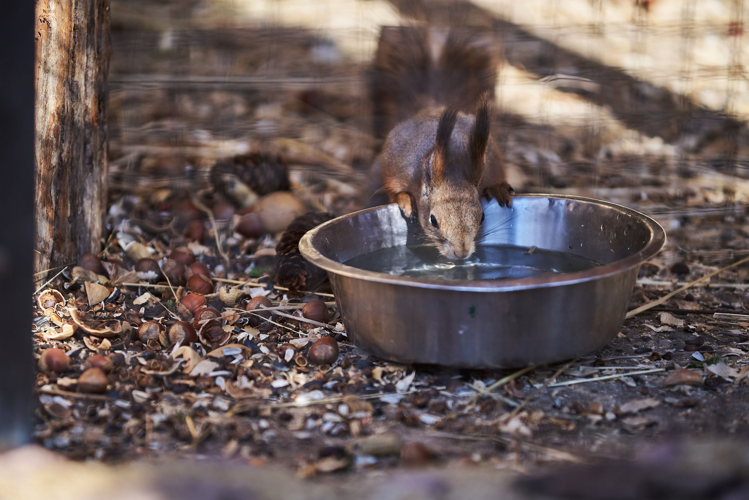 Зоопарк Иваново. Фотограф в Иваново: Каталожная съемка одежды и постельного белья, Wildberries