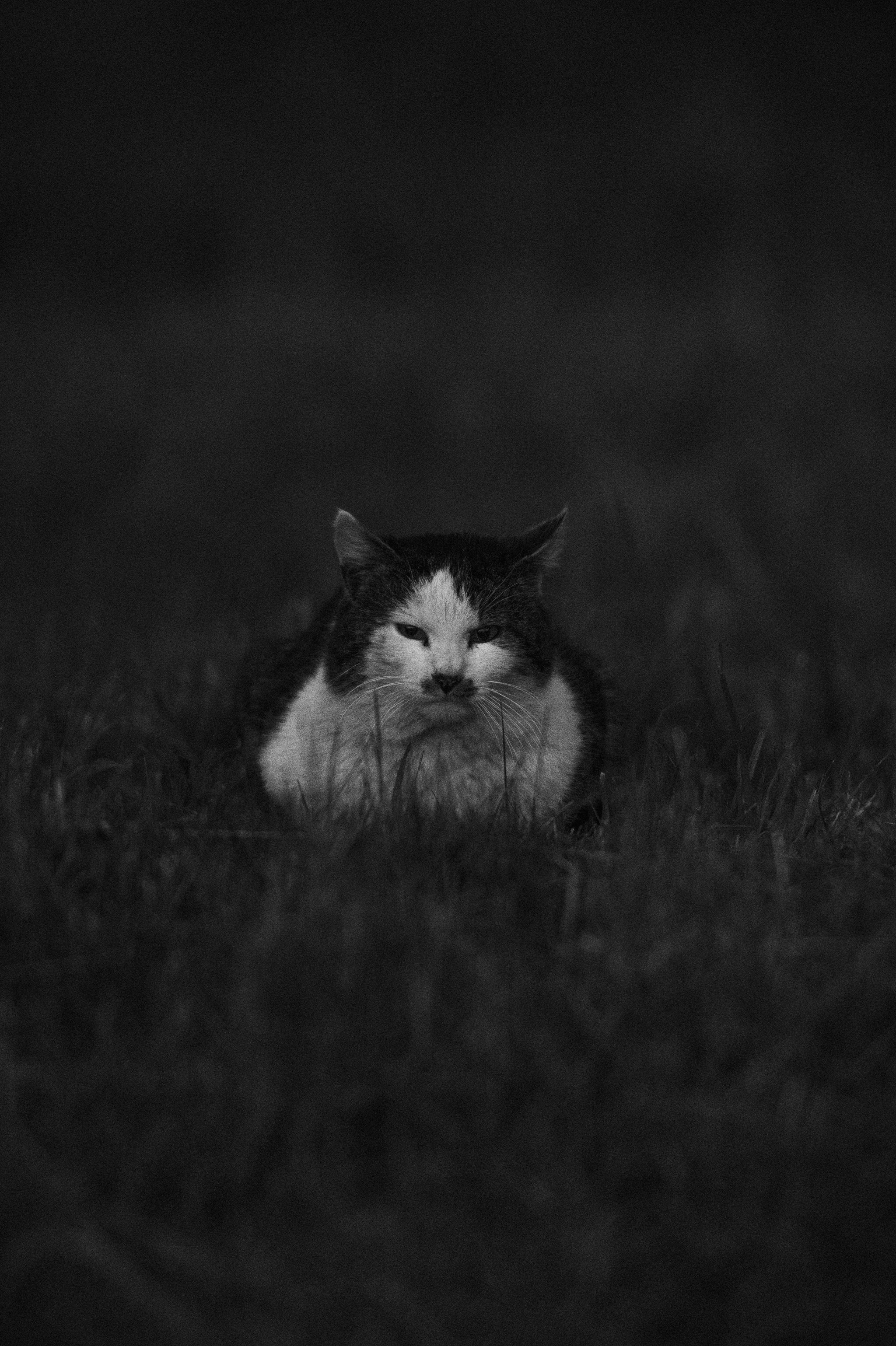 Репортажный фотограф Владимир Беляй