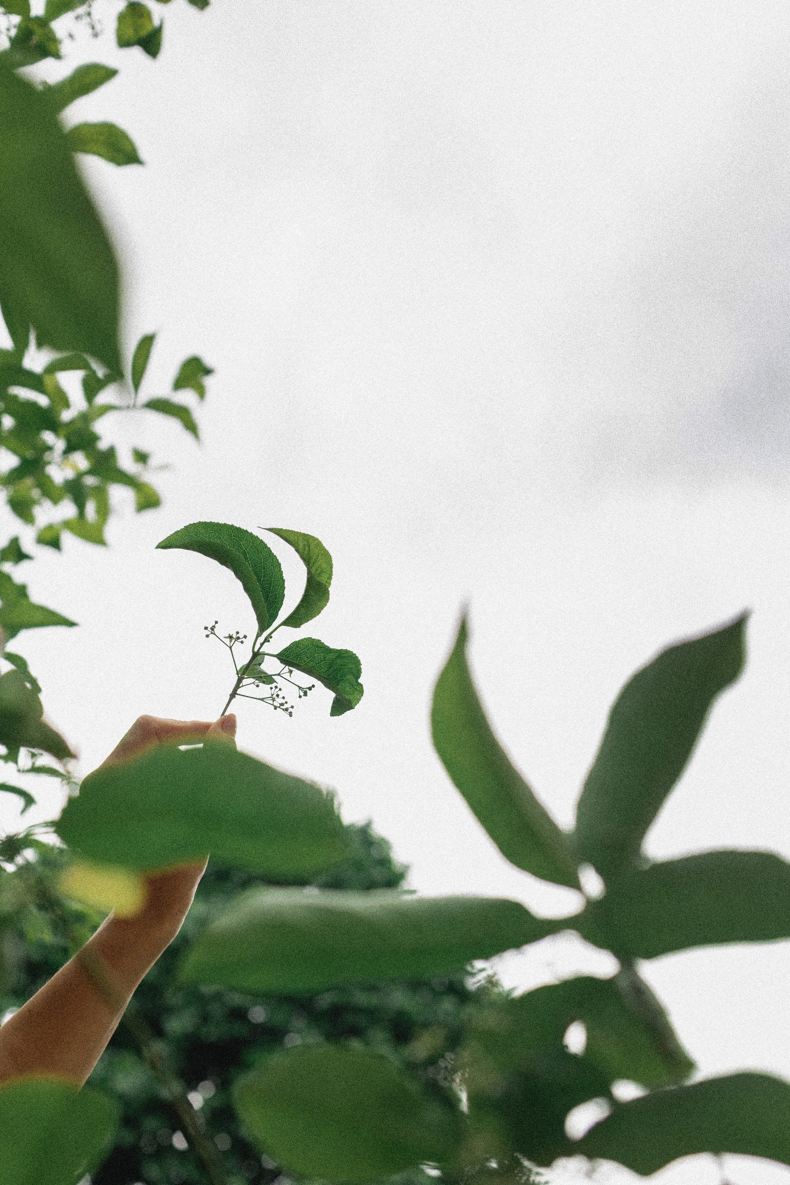 Эстетика мира. Прекрасная Катя. Виноградова Маргарита. Фотограф P r o Явления