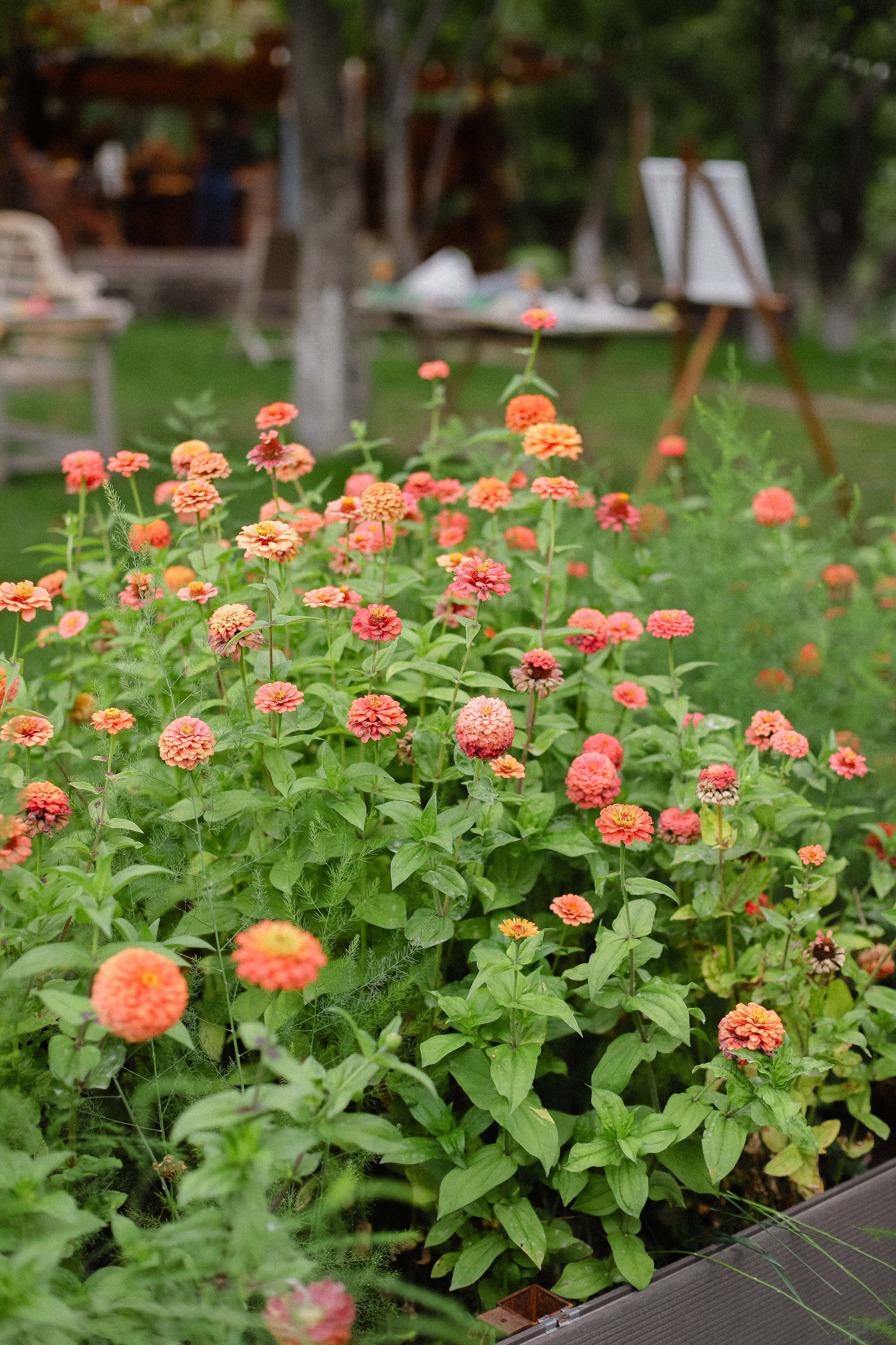 Рустам и Елизавета. Фотограф в Алматы и Москве Даша Пушкина