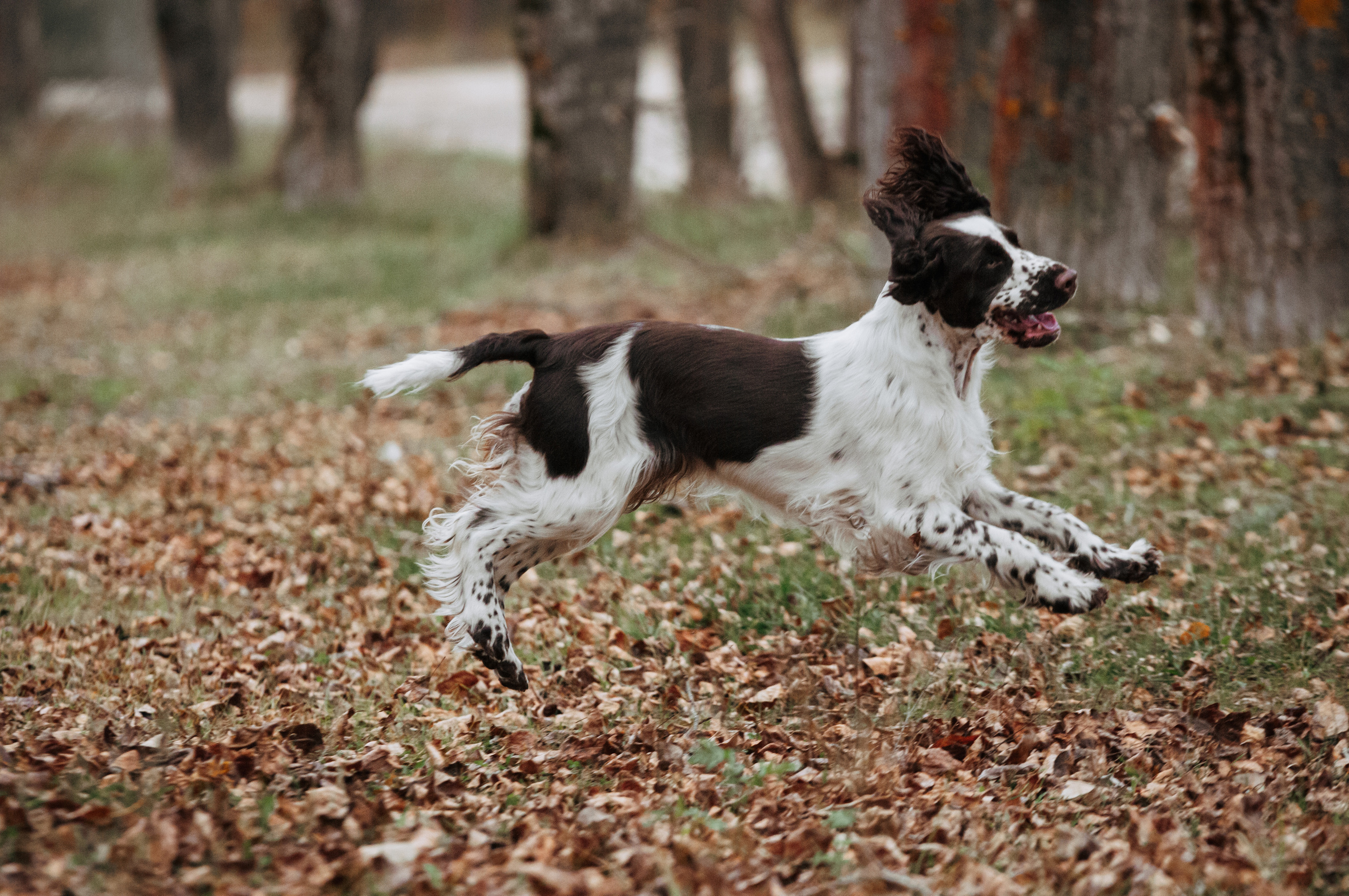 Веста. Мотофотограф в Нижнем Новгороде Динара Зуйкова