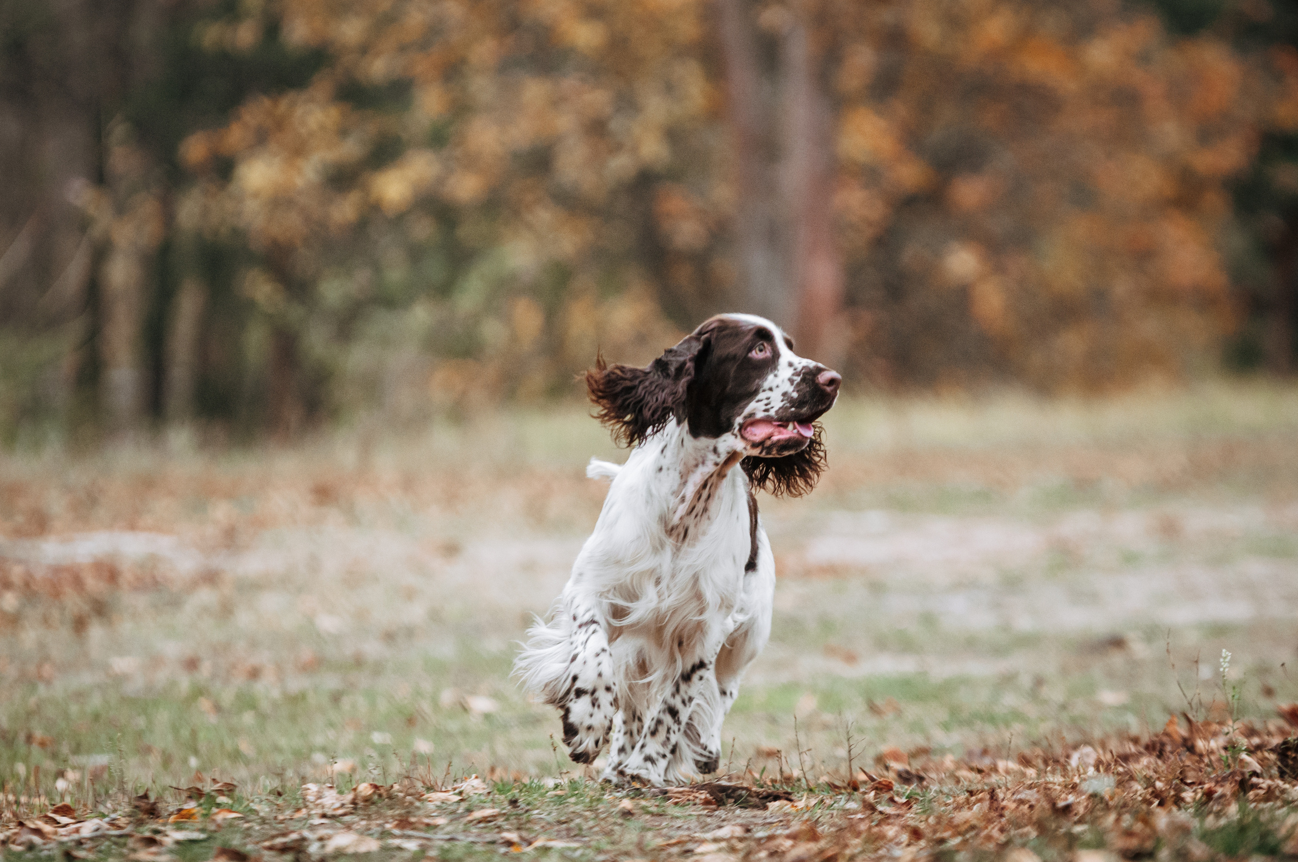 Веста. Мотофотограф в Нижнем Новгороде Динара Зуйкова
