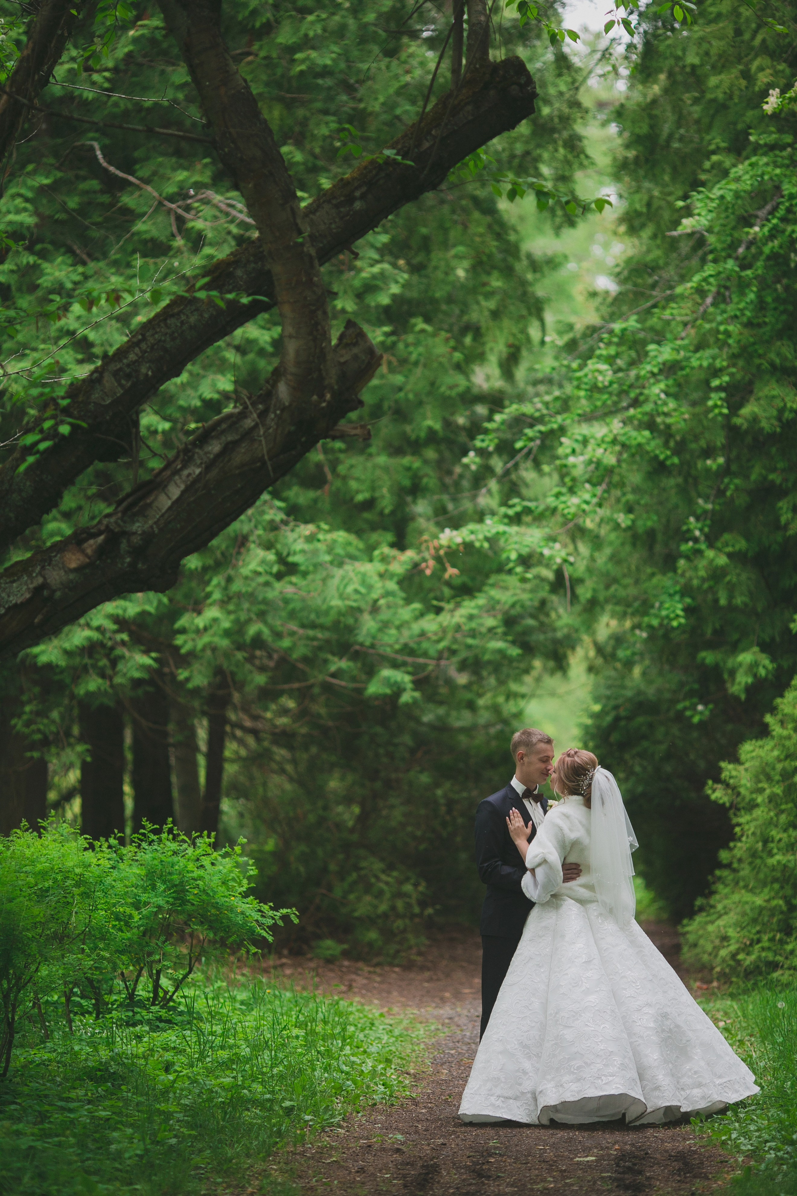 Дендрарий. Свадебный и семейный фотограф в Казани и Зеленодольске Ланочкин Илья