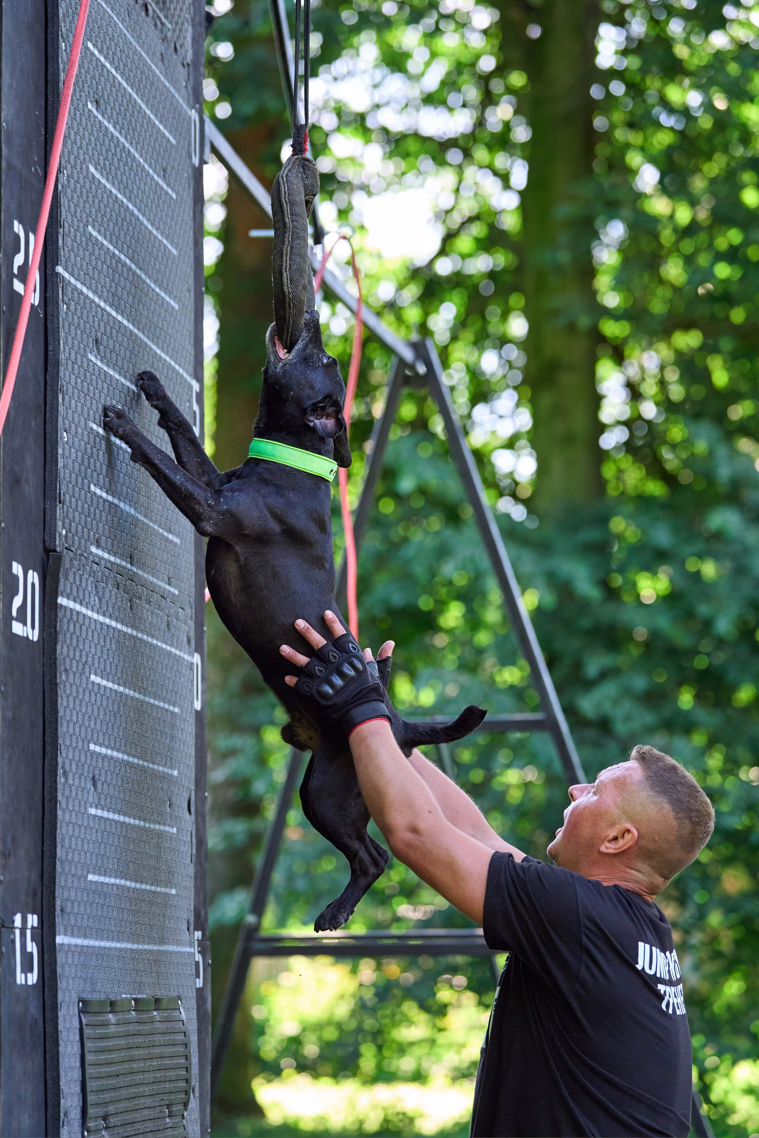 Двухдневные соревнования «Jump'n'Gym Fest — 2024». Фотограф-анималист Михаил Манухин