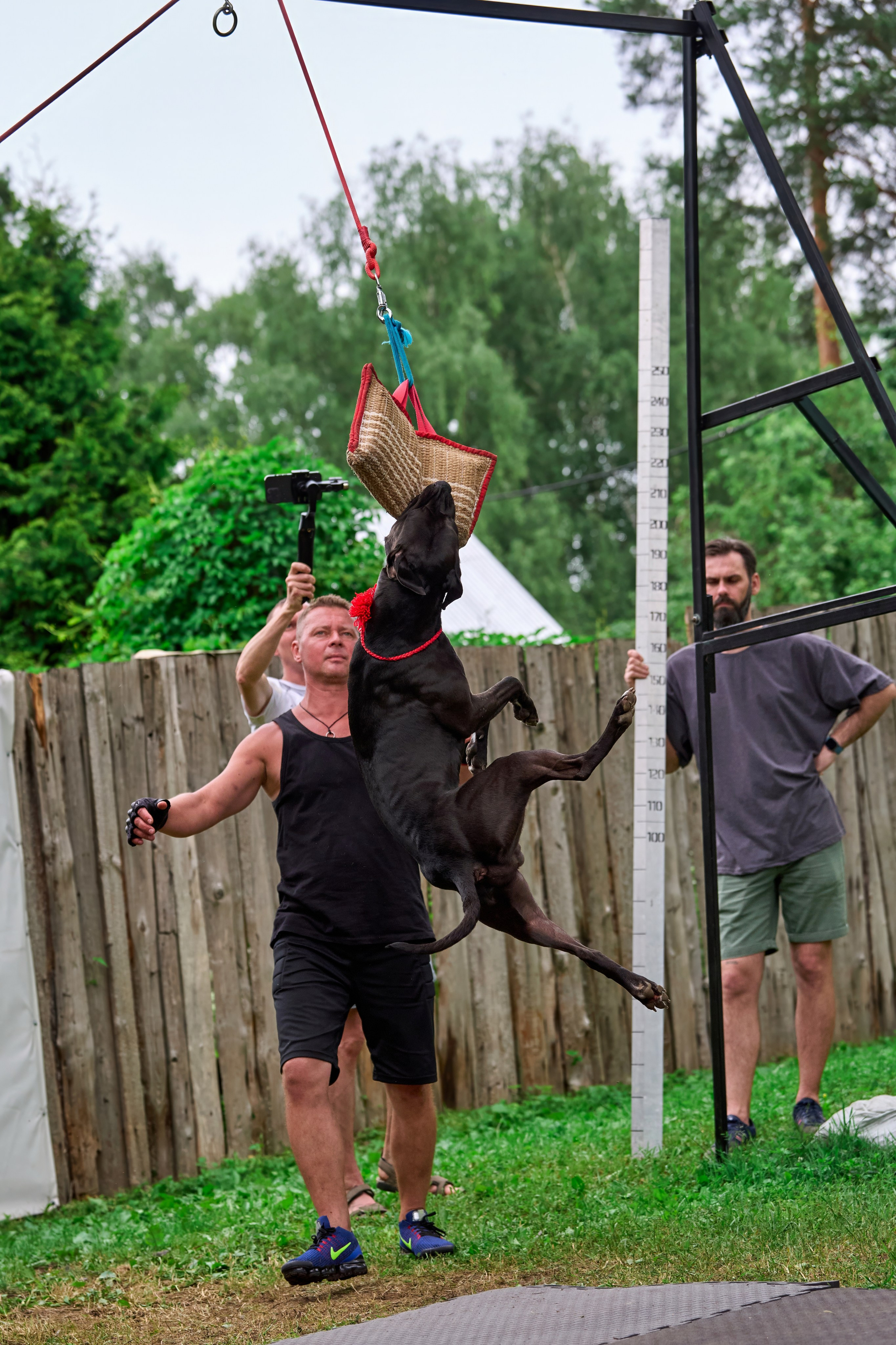 Двухдневные соревнования «Jump'n'Gym Fest — 2024». Фотограф-анималист Михаил Манухин