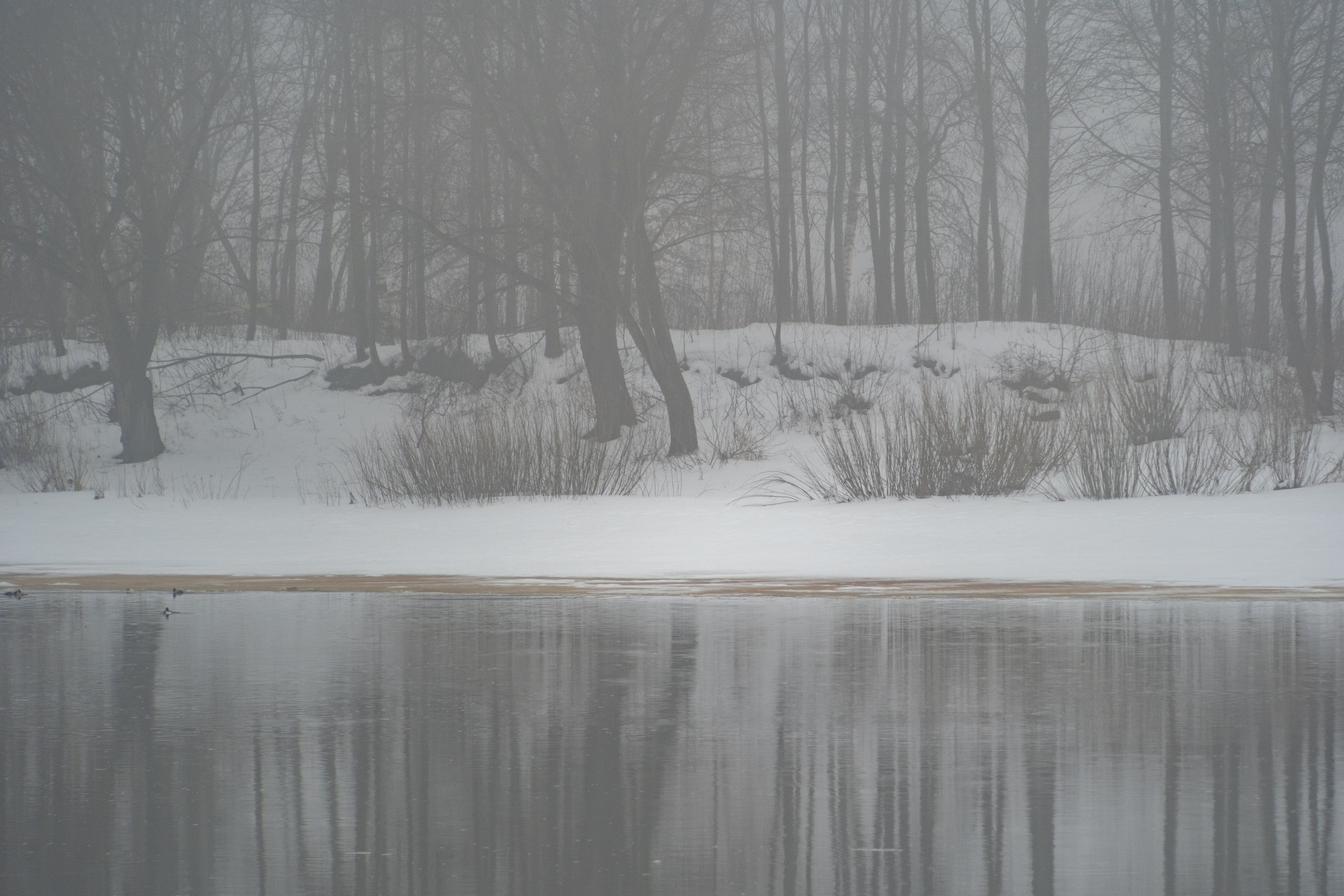 Великий Новгород моими глазами. Детский, семейный и ньюборн фотограф в Москве Юлия Шуарт