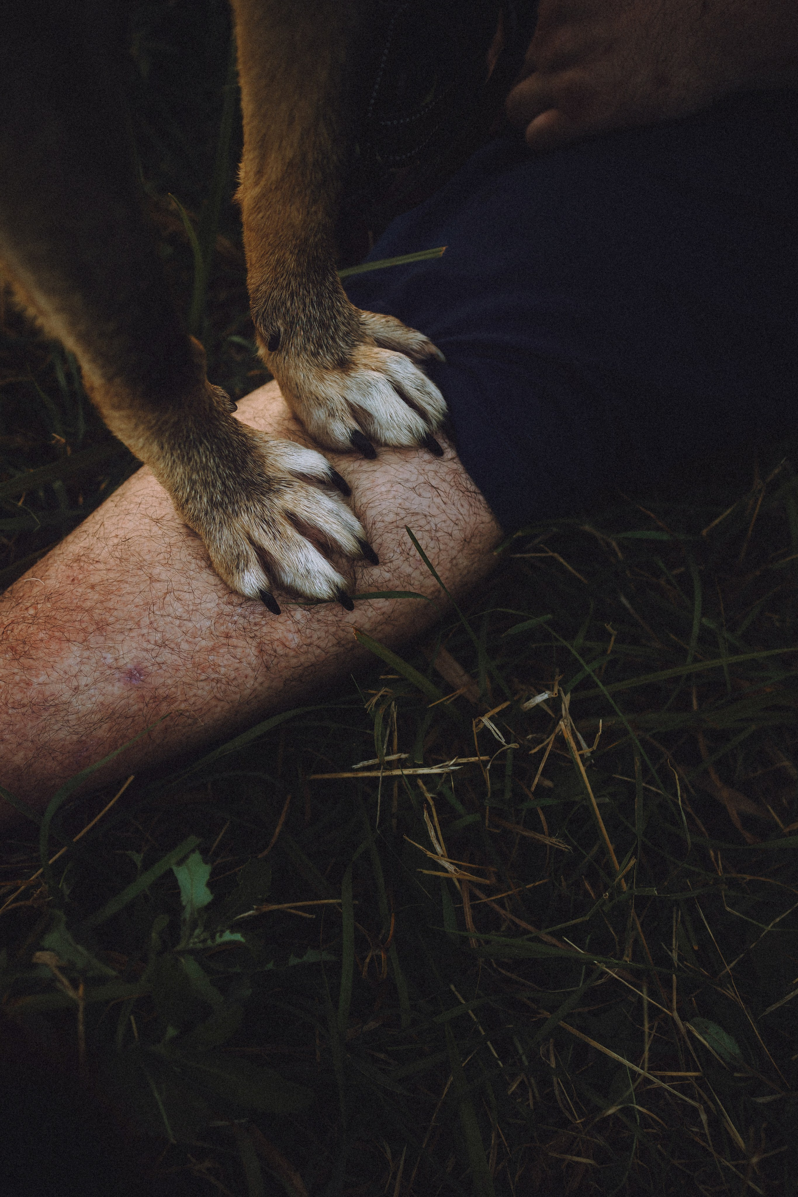 Лучшего времени, чем сейчас — не будет