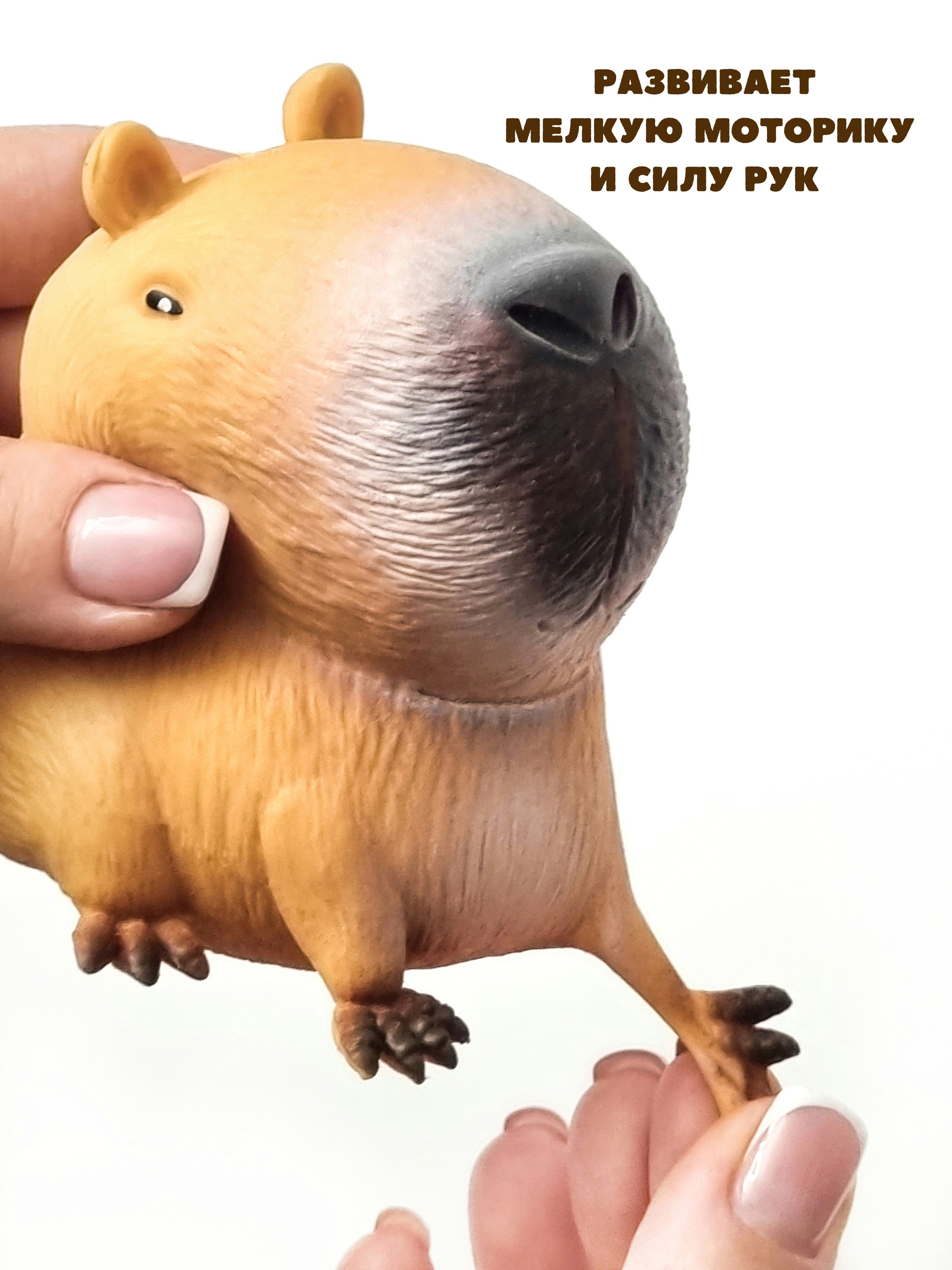 СКВИШИ антистресс. Женский, семейный и контент-фотограф в Оренбурге Анна Соловых