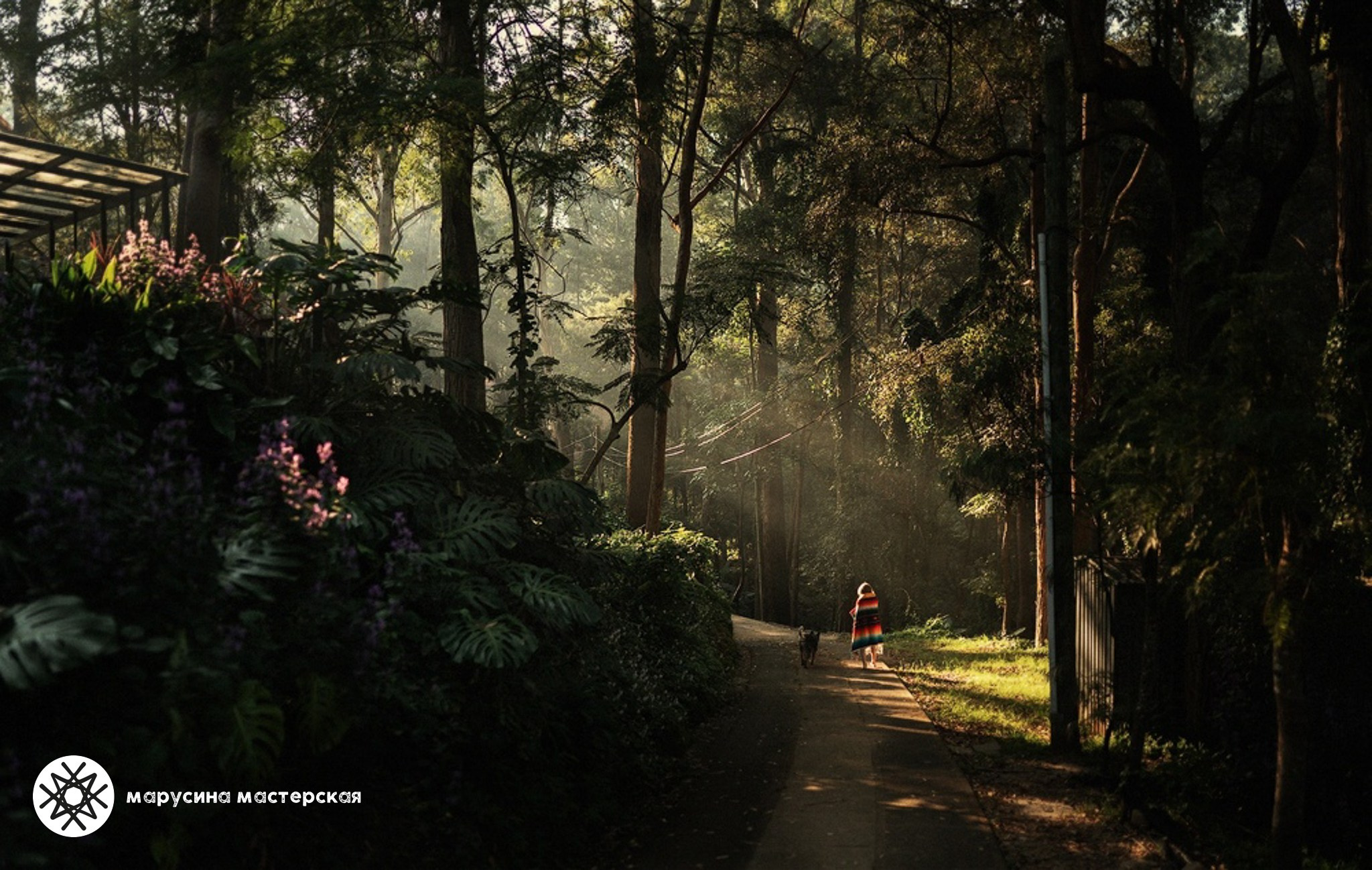 Художественная фотография участницы практикума по композиции