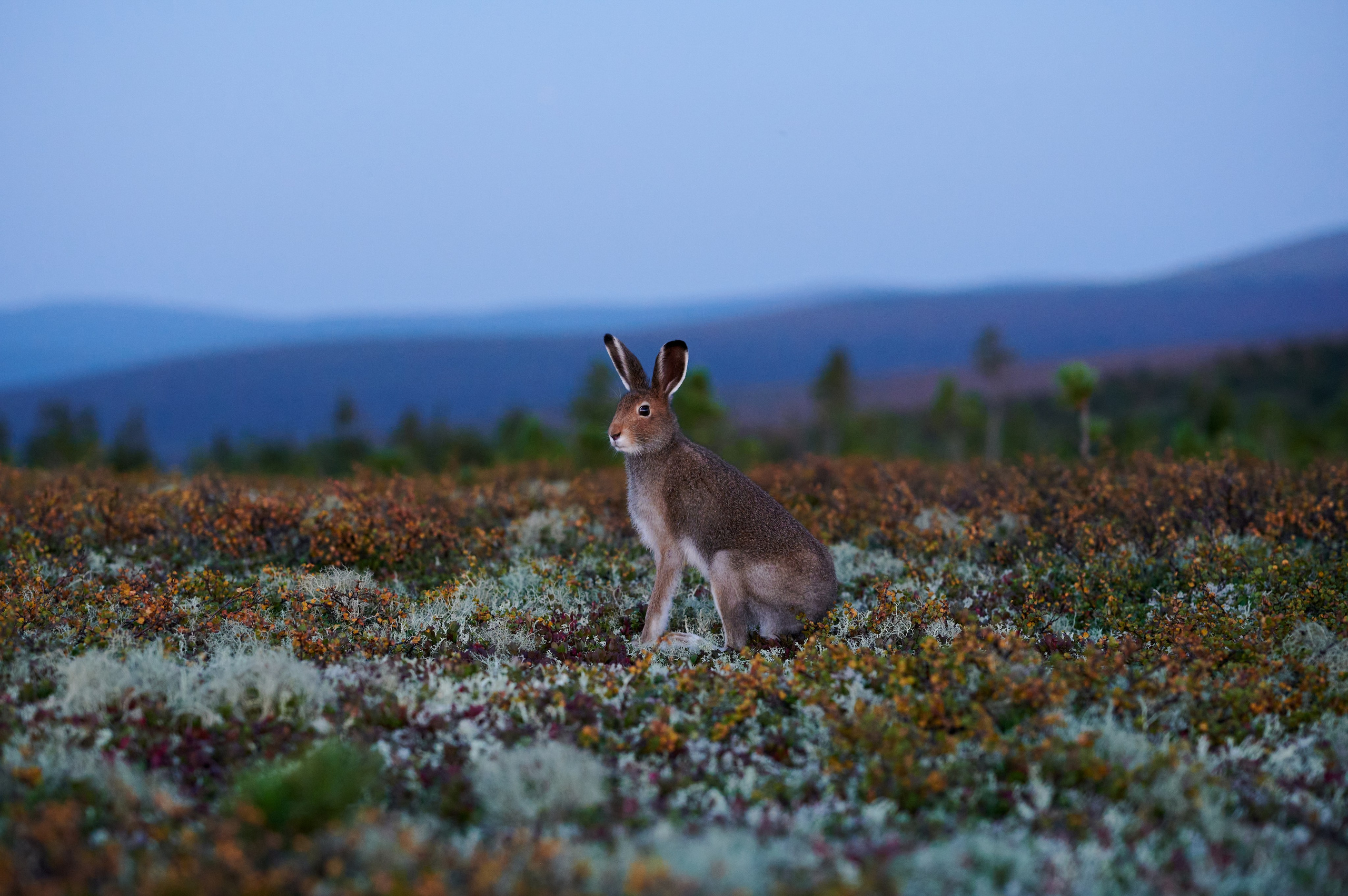 Photographer Yulia Lushnikova, Based in Valencia