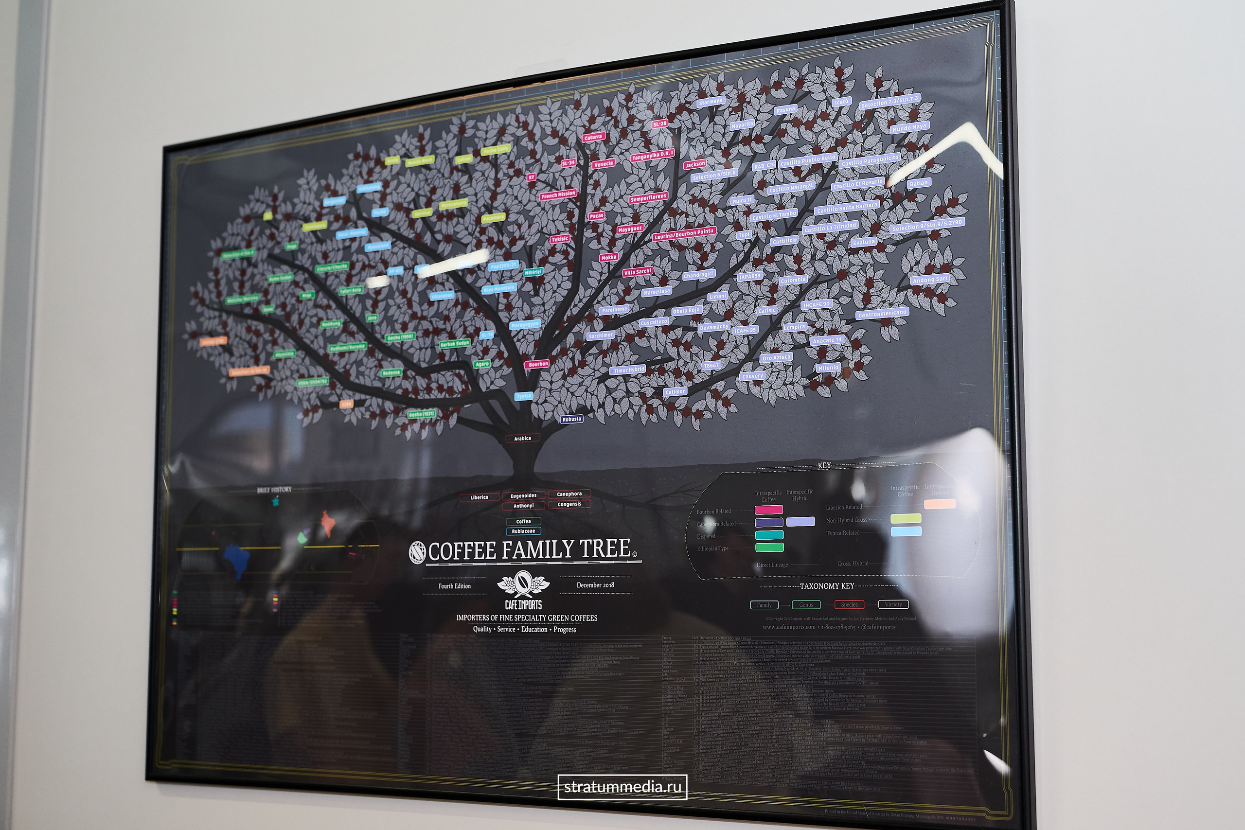 Дегустация новых сортов кофе от Coffee Element. Главная