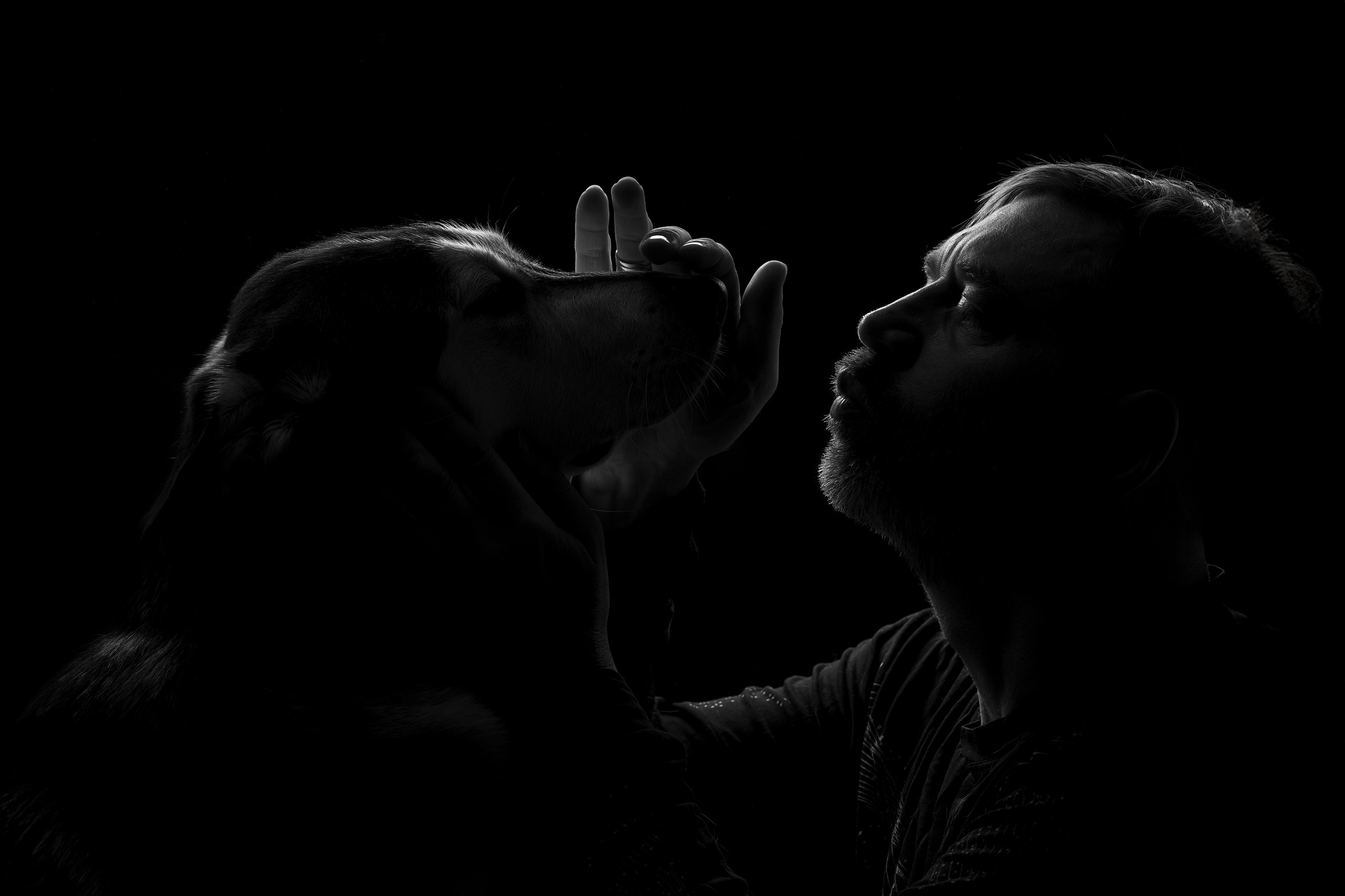 Фотограф анималист в Санкт-Петербурге Светлана Писарева