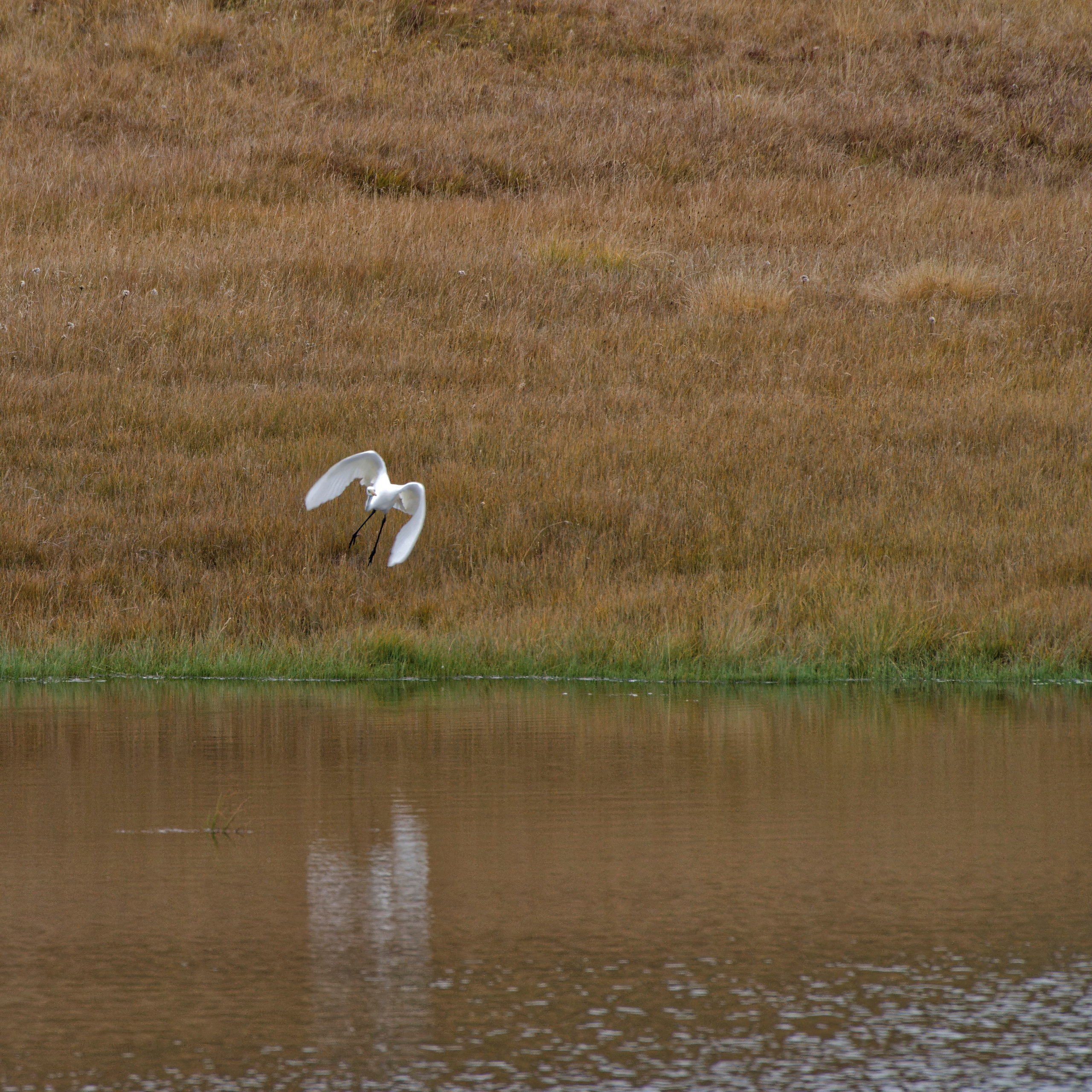 Путешествие по южному Алтаю. Семоха Валерий. Фотограф