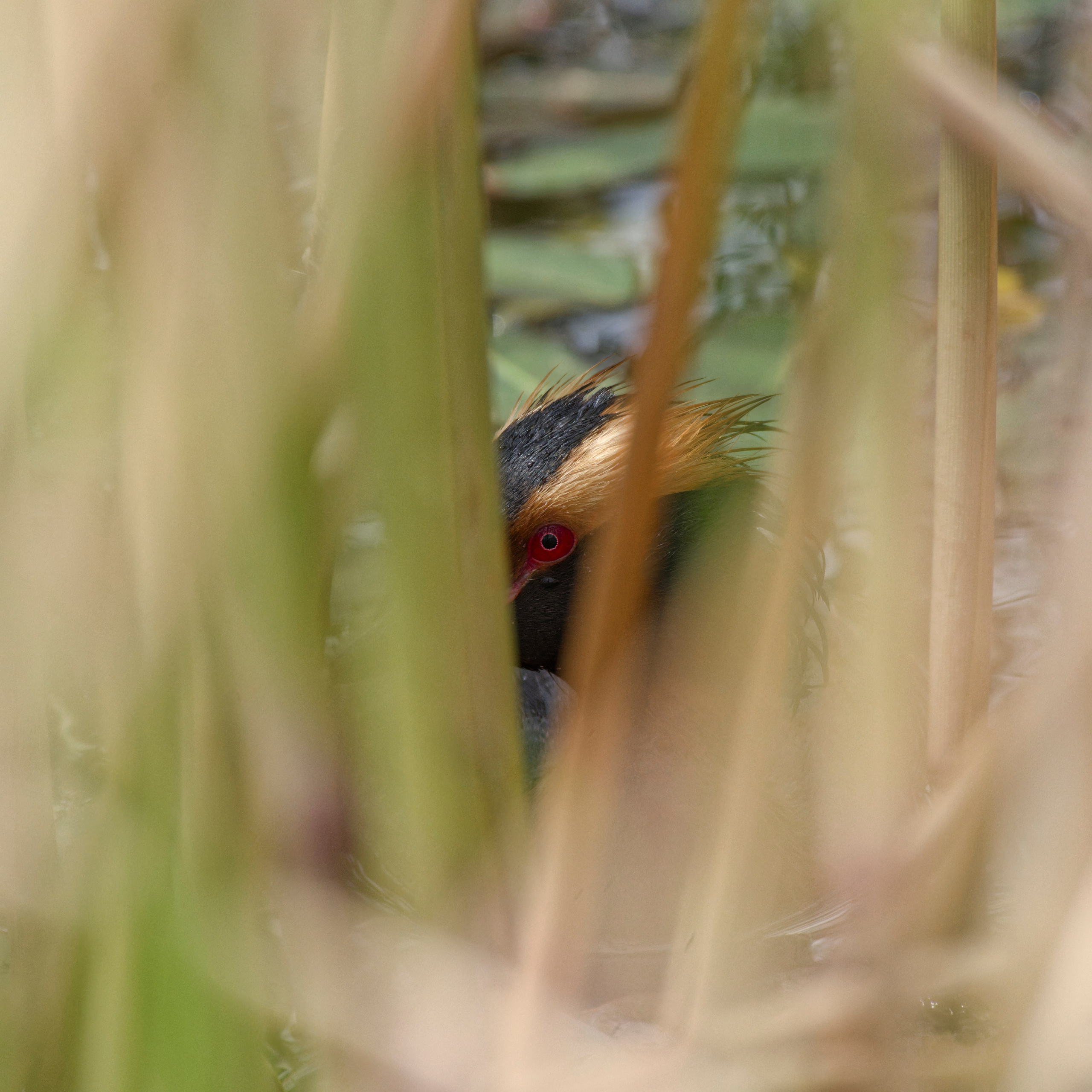 Экспедиция в Монголию (котловина больших озер). Семоха Валерий. Фотограф