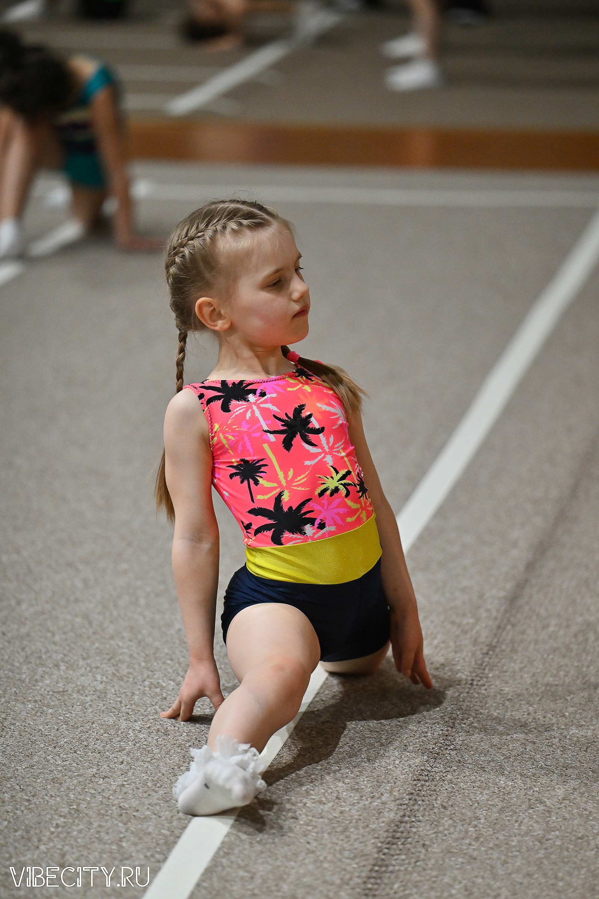 Контрольная тренировка по спортивной гимнастике. VIBECITY.RU Вайб Сити Ру Фоторепортажи Фотоотчеты Калининград