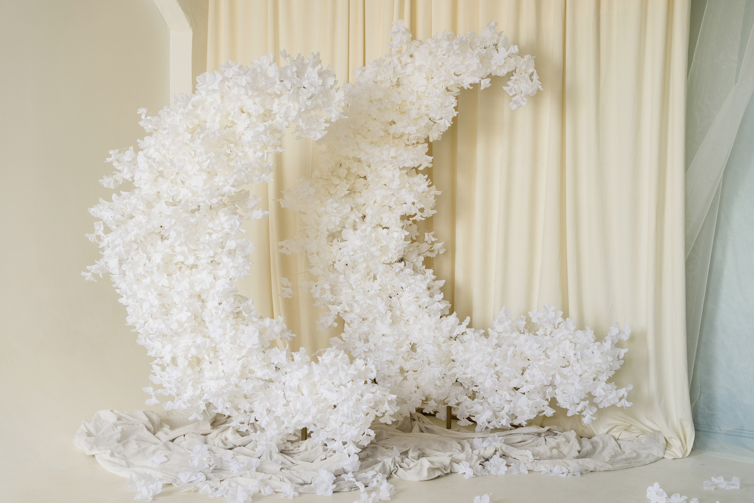 Фотостудия и фотограф в Майкопе — ProfessionalFoto