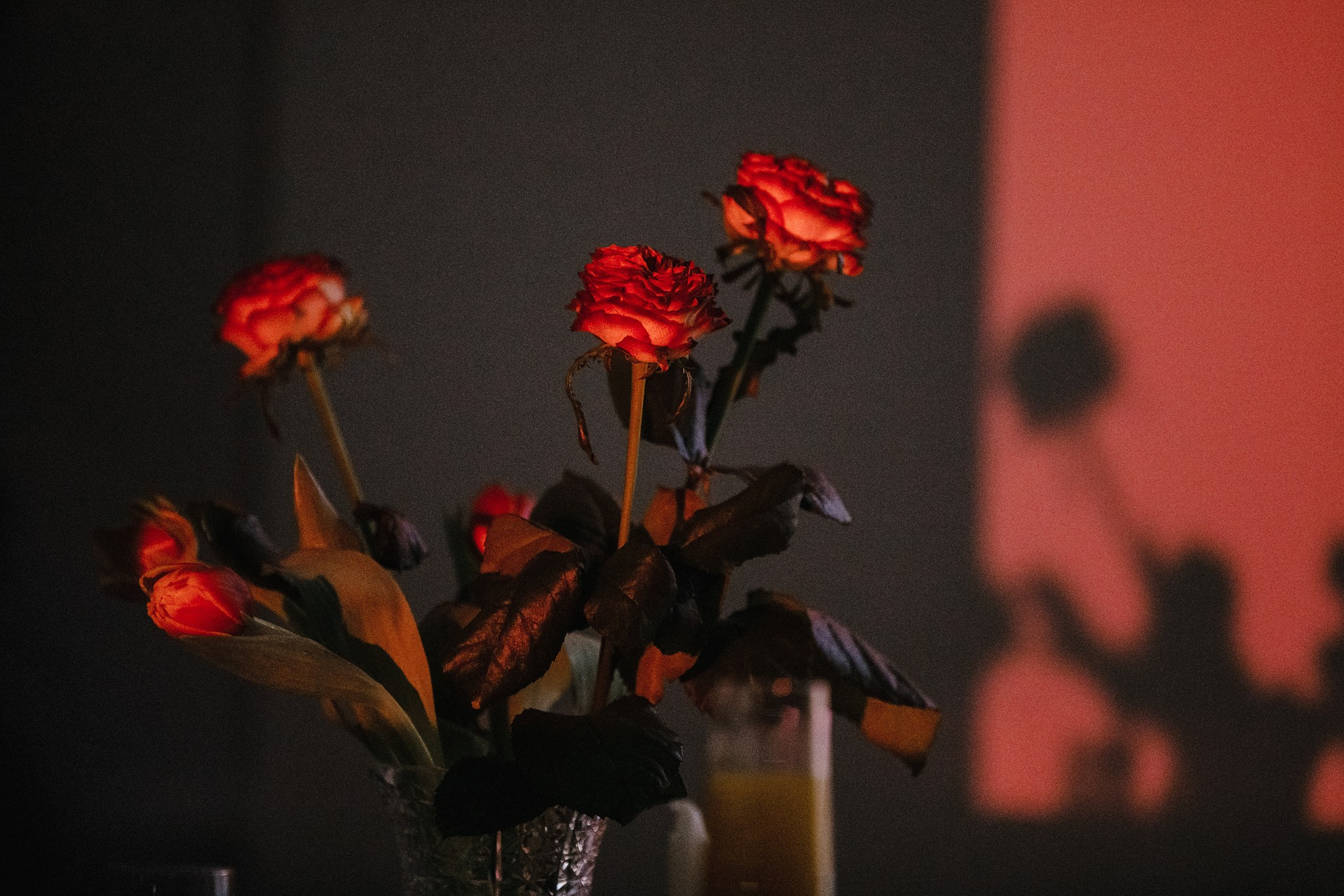 01.03.2023 // Лекция «Постимпрессионисты и фотография». Фотовыставки serebro.gallery, в которых автором можешь стать ты! | Москва