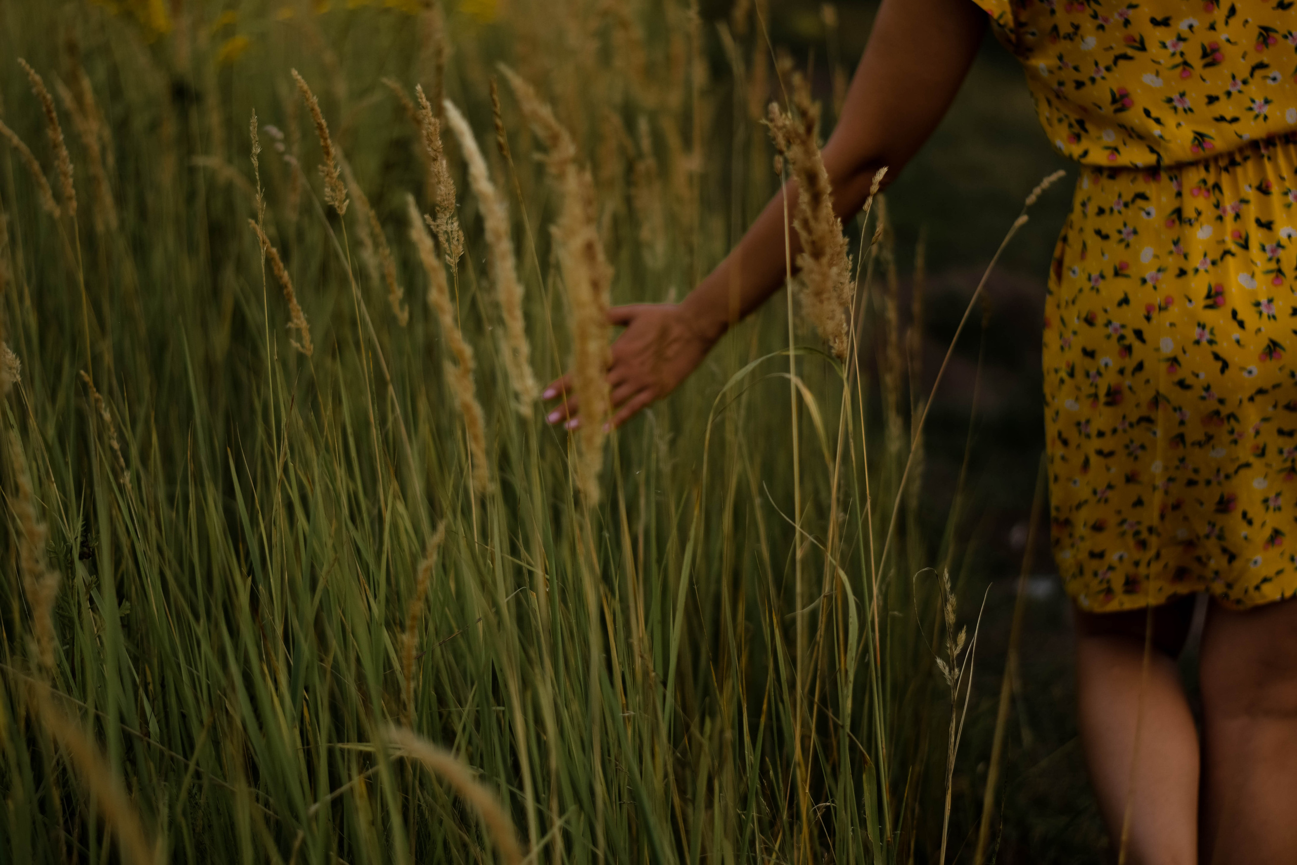 Летним вечером. Семейный фотограф Щёкино, Тула. От 5000р