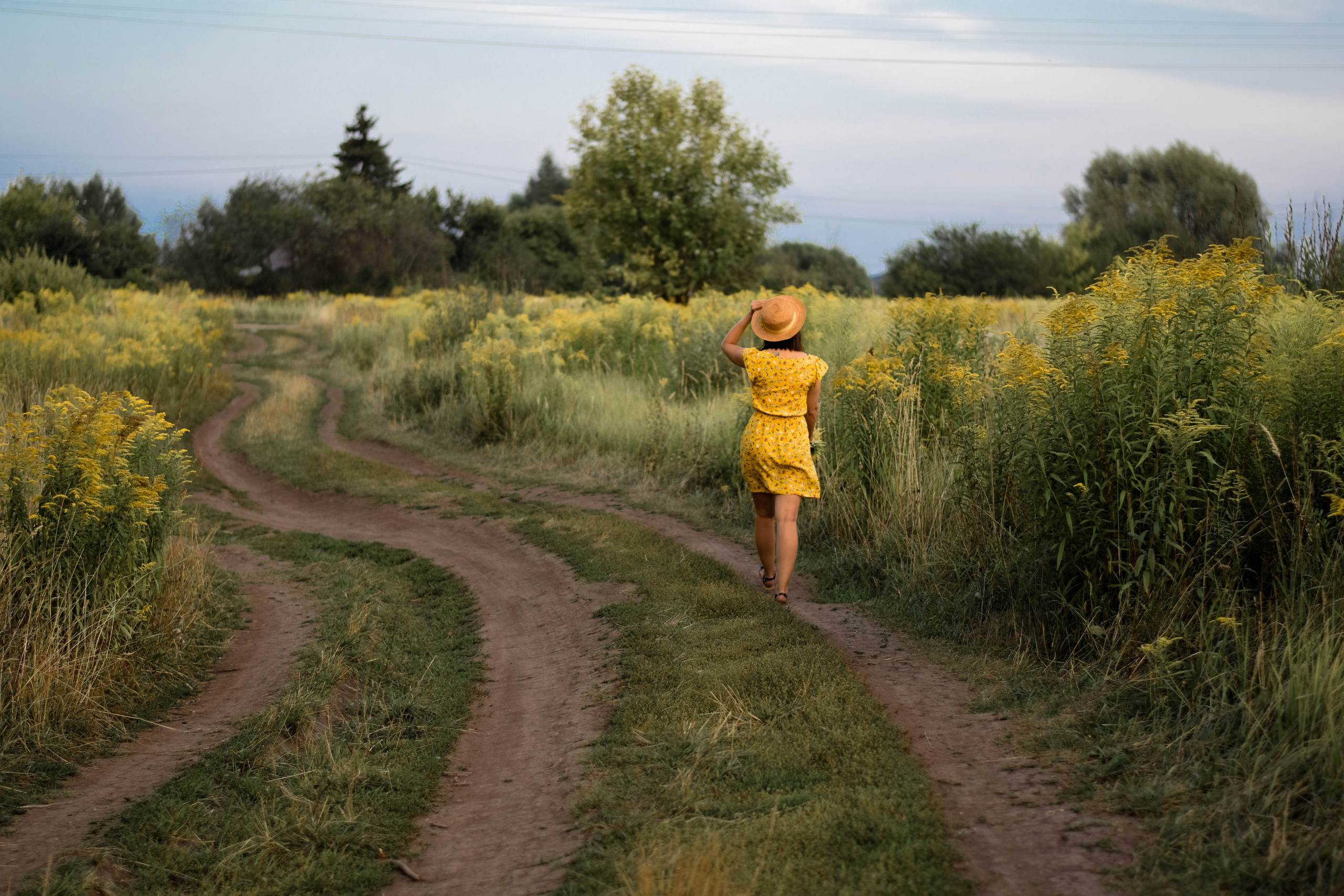 Летним вечером. Семейный фотограф Щёкино, Тула. От 5000р