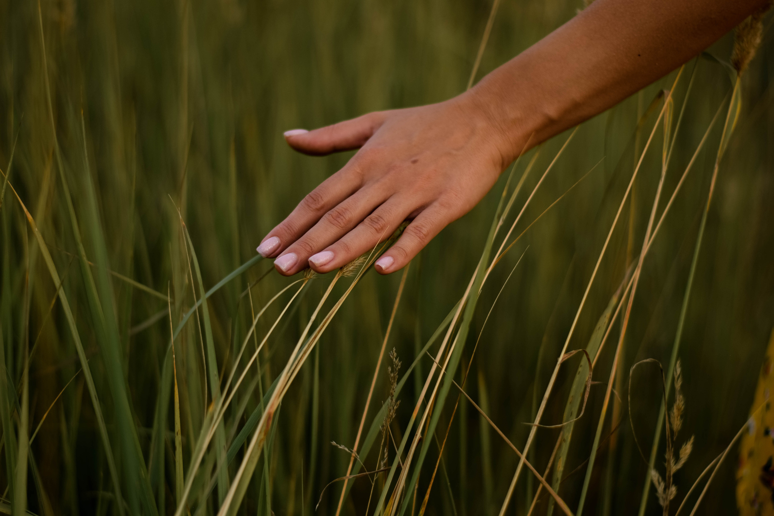 Летним вечером. Семейный фотограф Щёкино, Тула. От 5000р