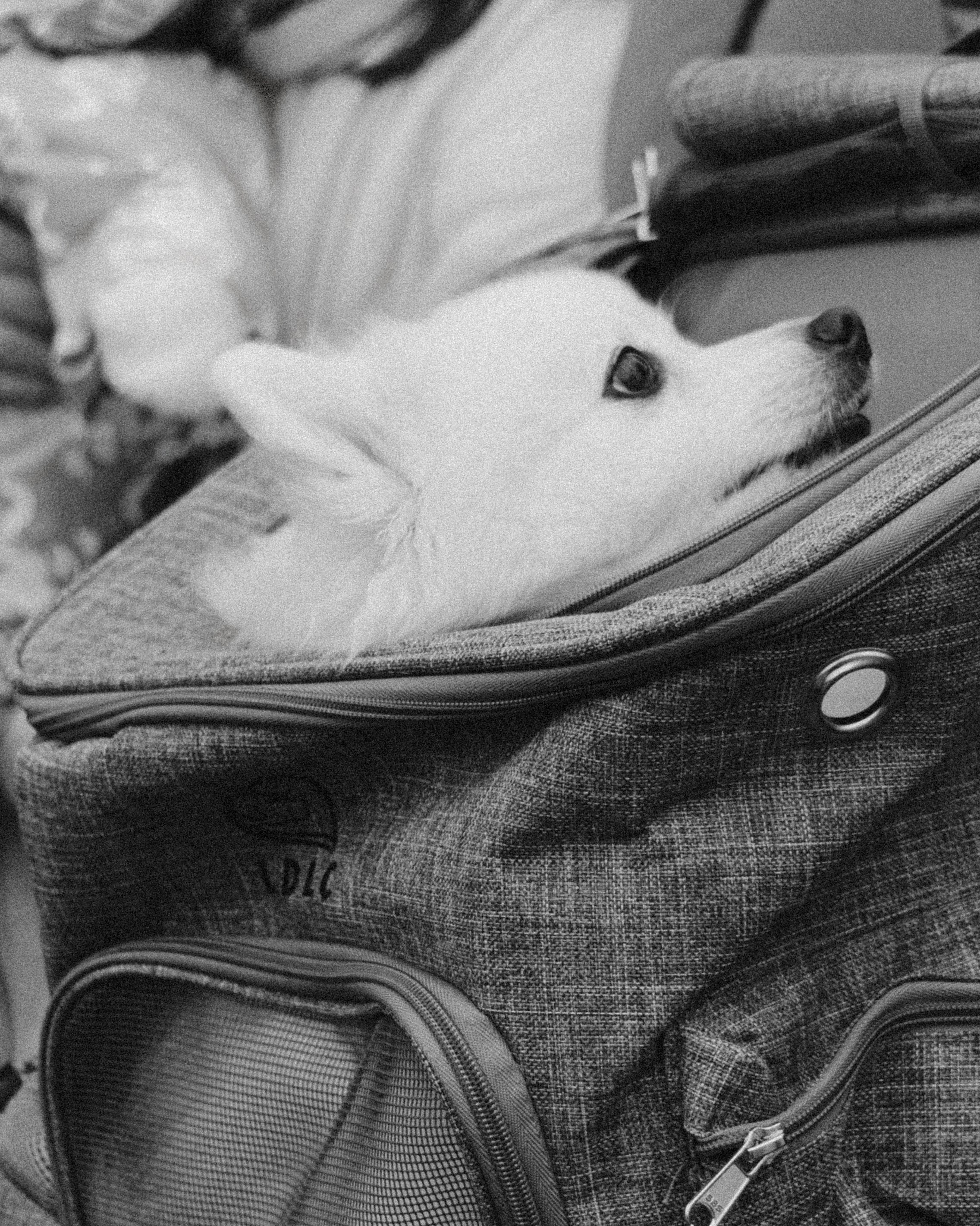 О том, как мы исследовали земли Залесские. Главная