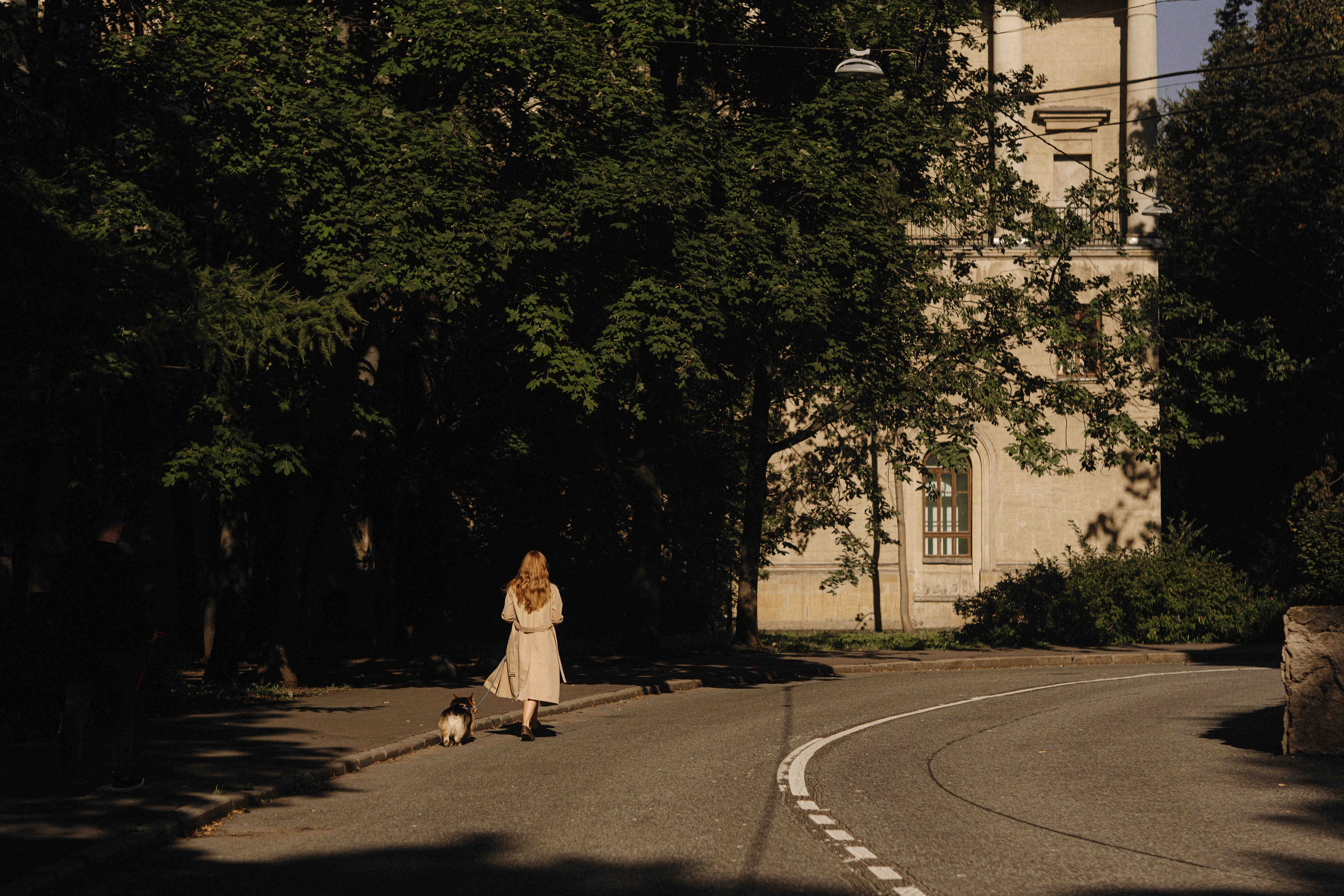 Love&Paws. Сентиментальная свадебная фотография