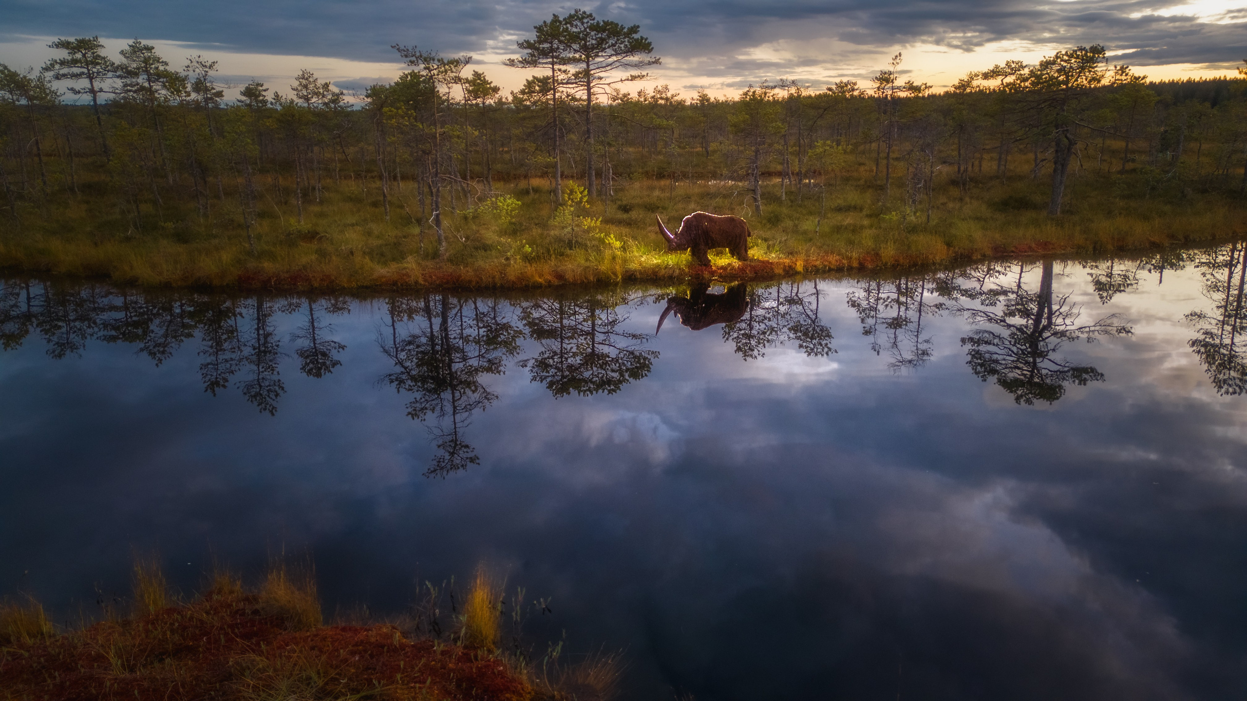Осень на Карельском перешейке. Сентябрь