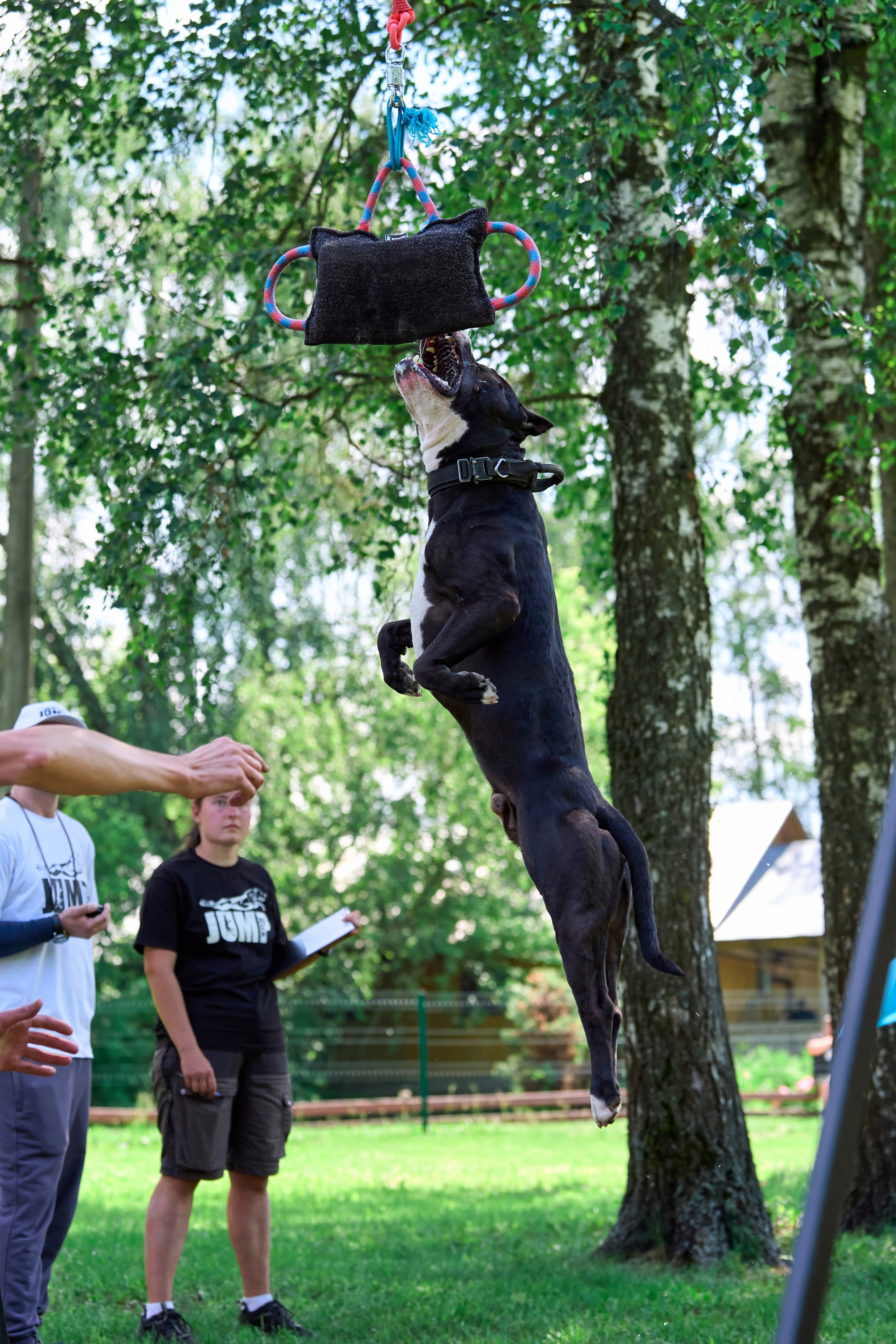 Двухдневные соревнования «Jump'n'Gym Fest — 2024». Фотограф-анималист Михаил Манухин