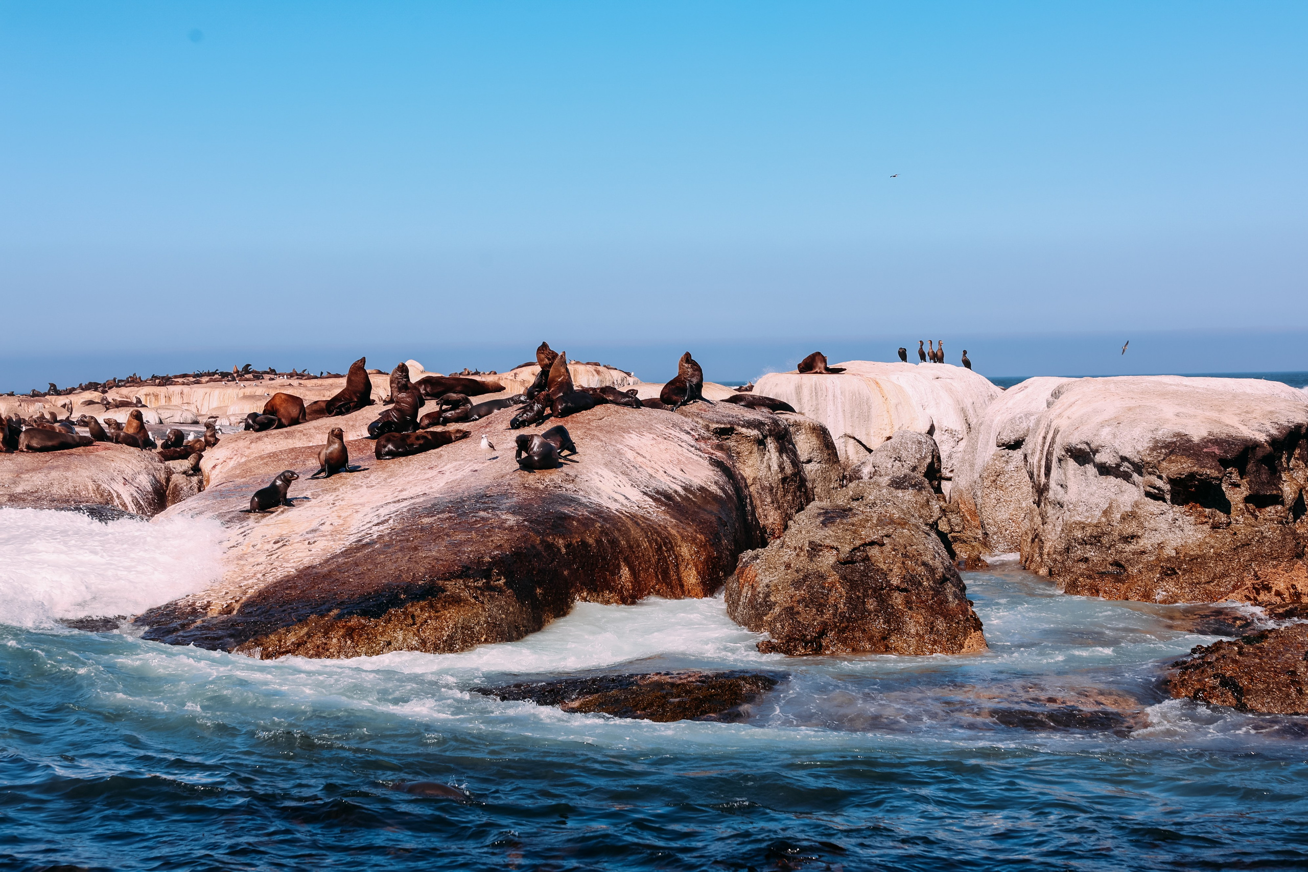 Фотограф Марина Аблаева-Кожедуб