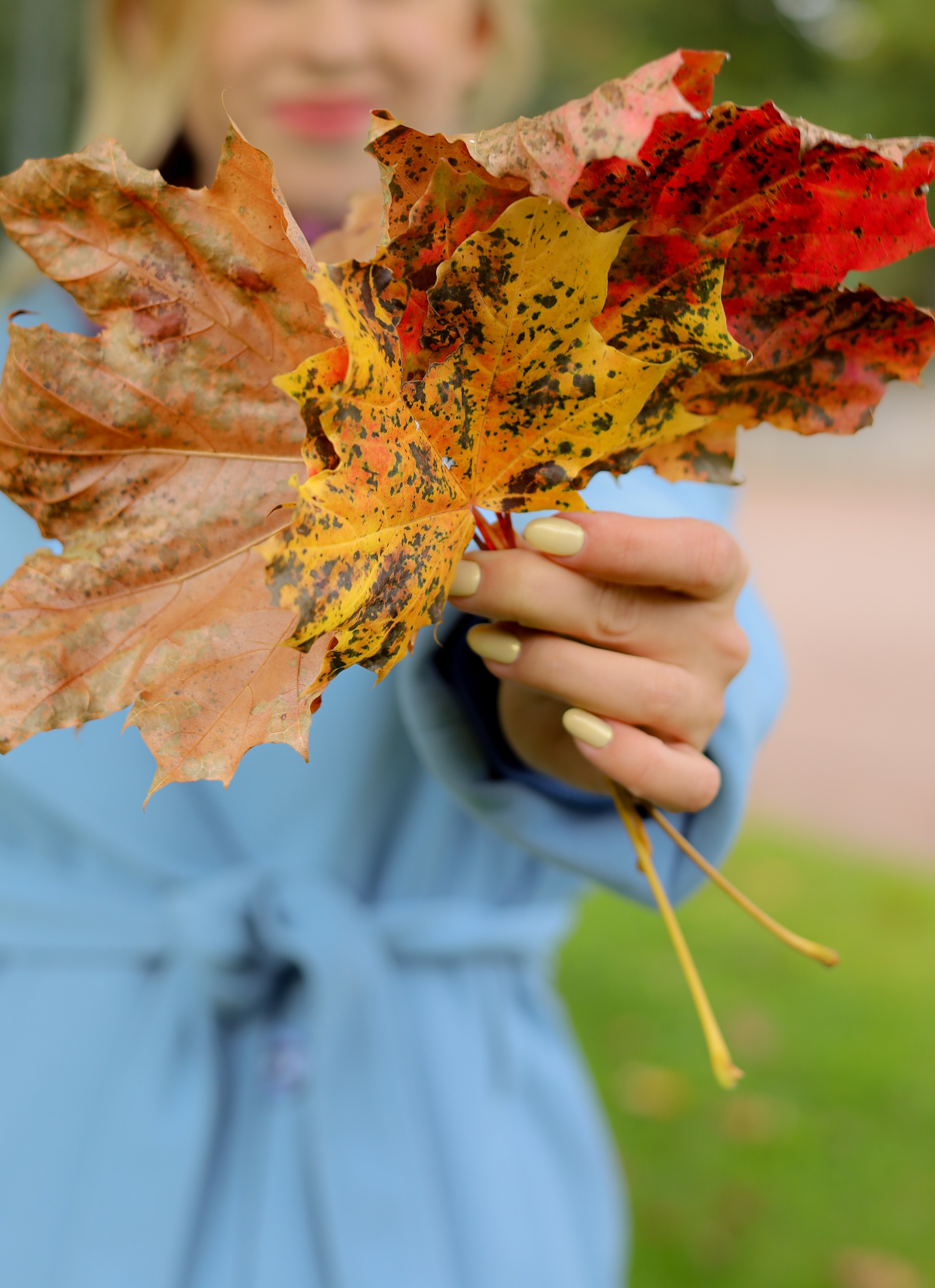 Прогулка с Анастасией