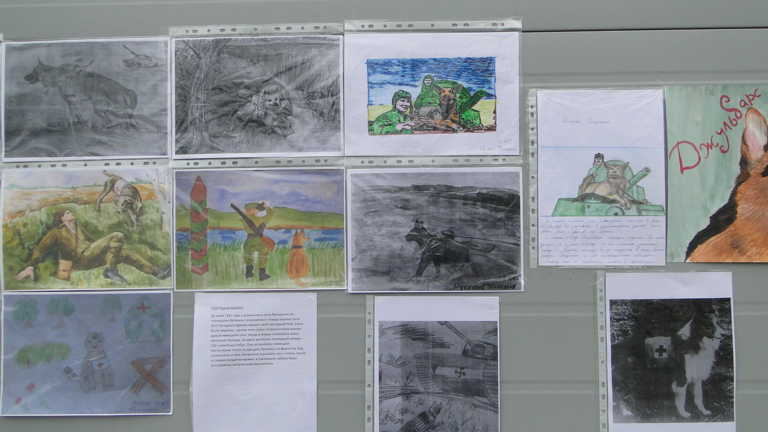 Кинологические старты. НРОО КЦ "Собаковод"