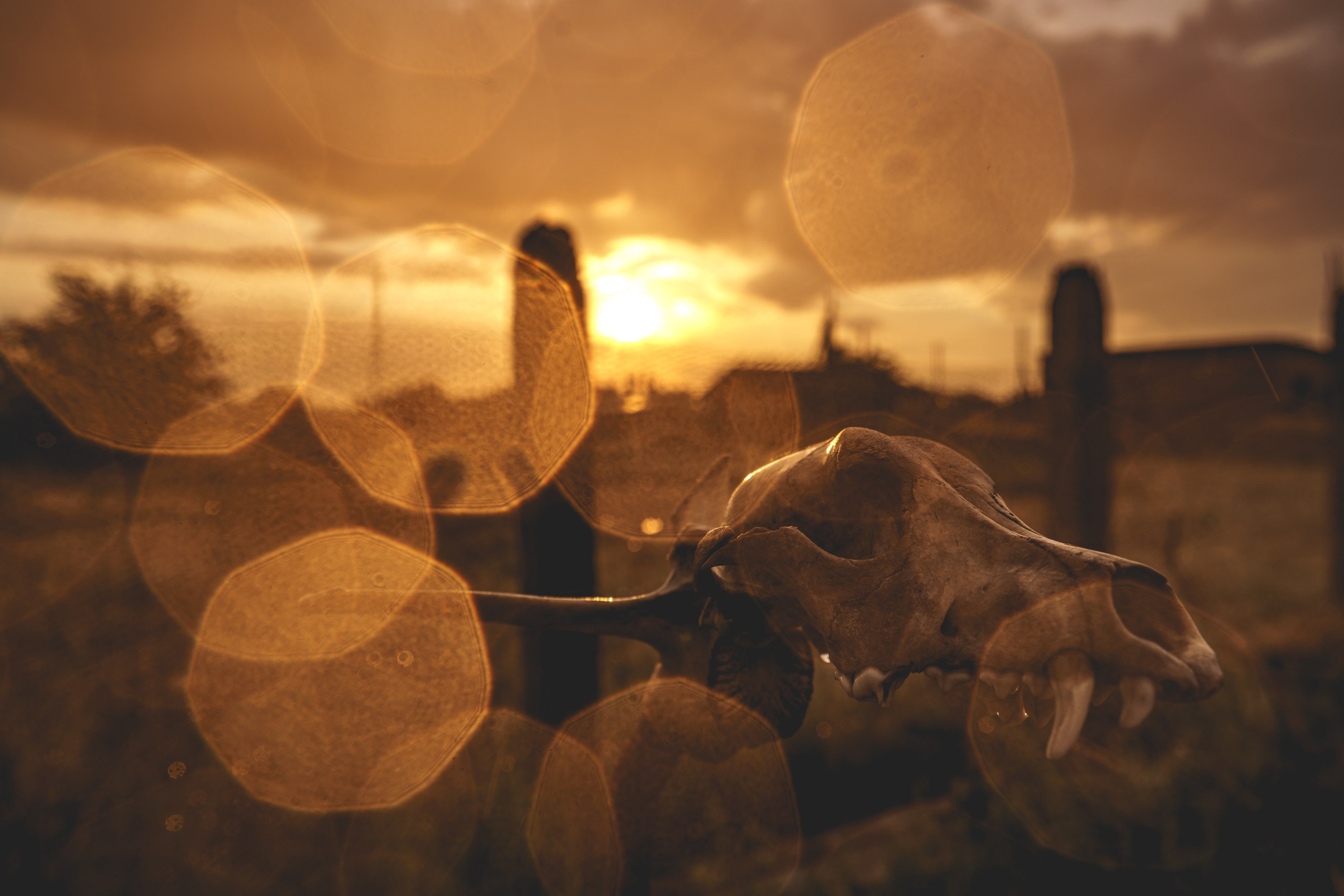 Учебный фототур на Эльтон. Июнь