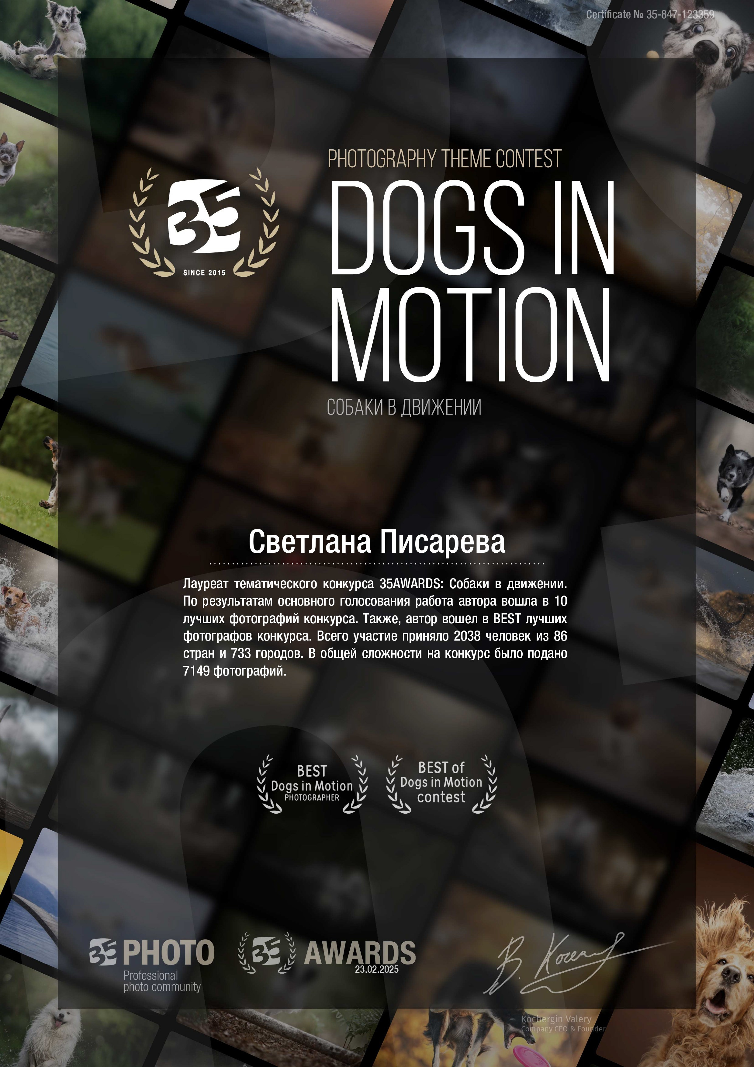 Фотограф анималист в Санкт-Петербурге Светлана Писарева