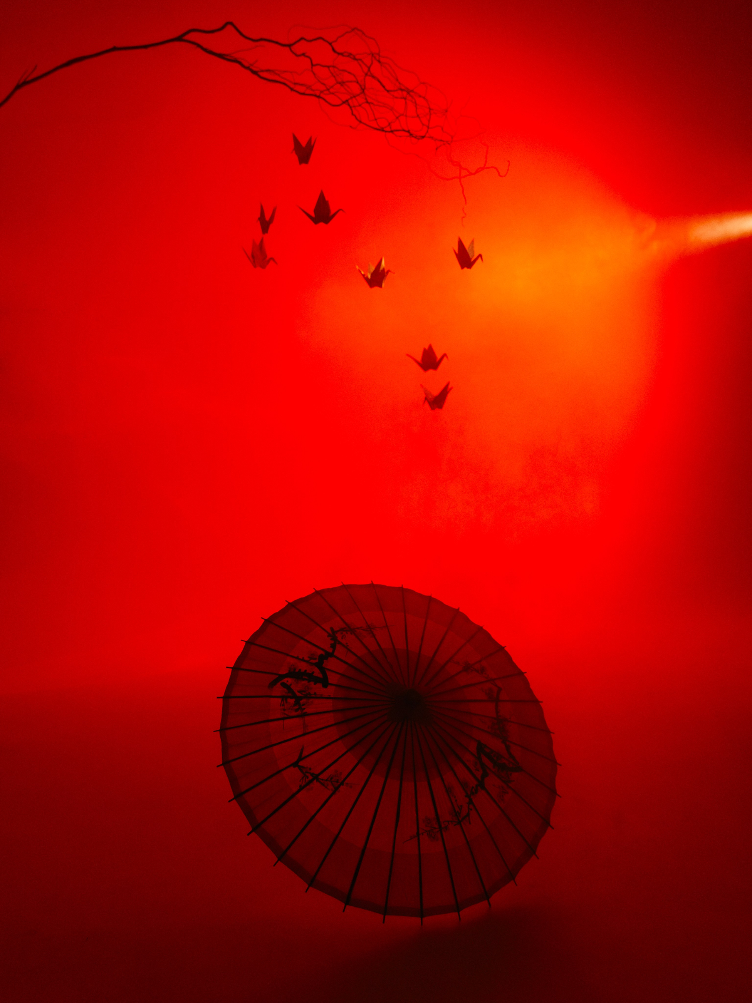 «Тени Киото»