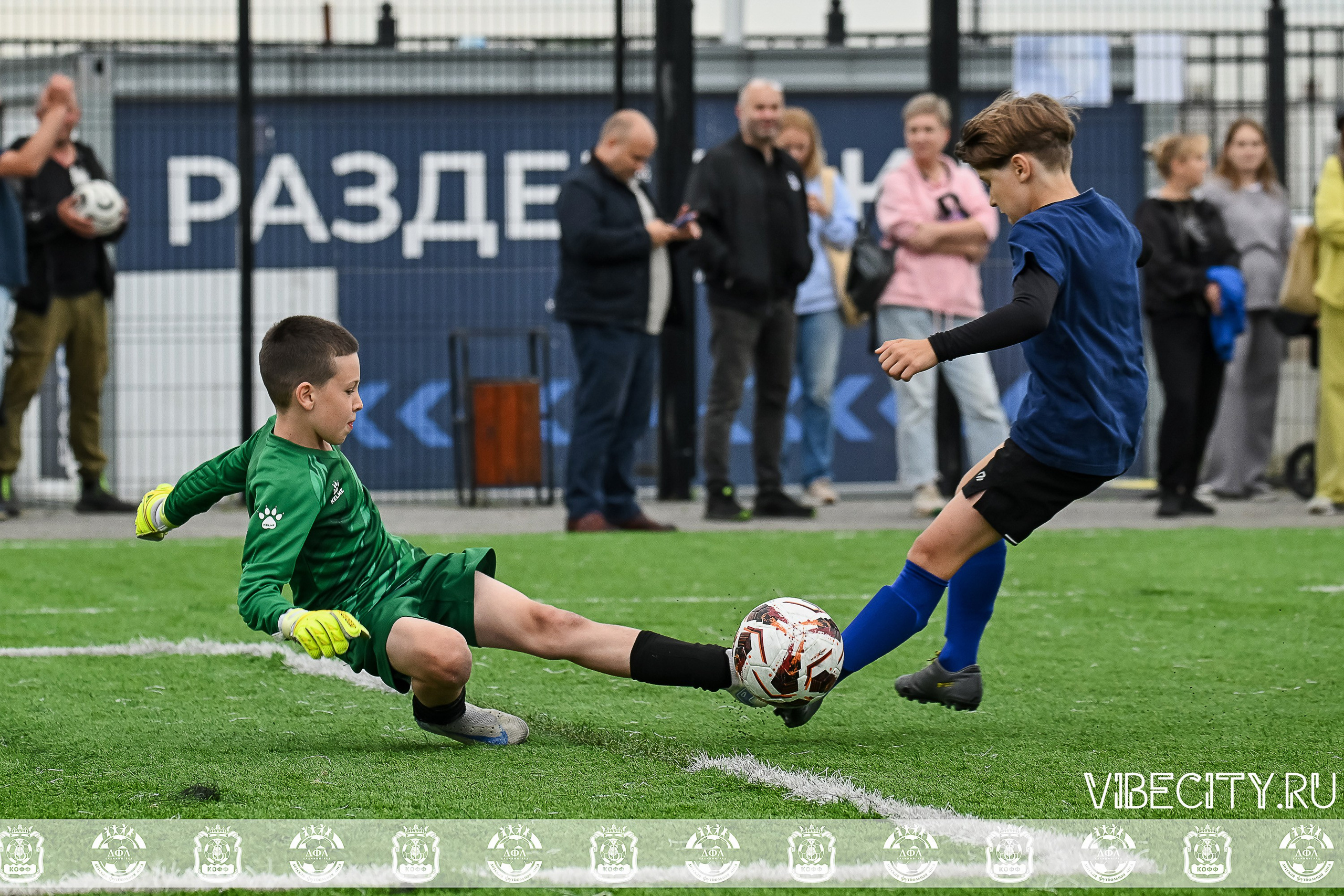 Калининградская Детская Футбольная Лига. VIBECITY.RU Вайб Сити Ру Фоторепортажи Фотоотчеты Калининград