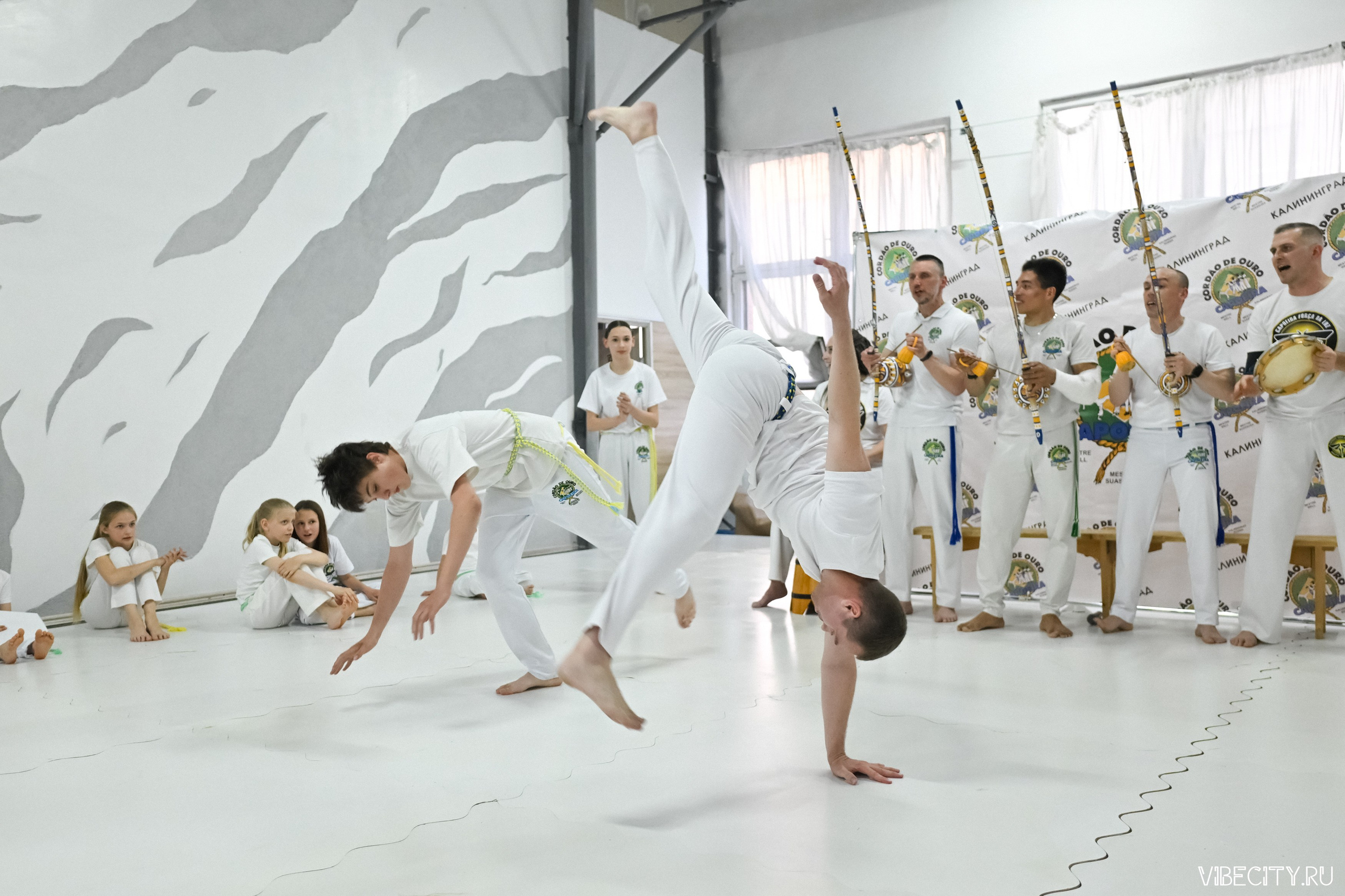 Capoeira: 4-е batizado e Troca de cordao. VIBECITY.RU Вайб Сити Ру Фоторепортажи Фотоотчеты Калининград