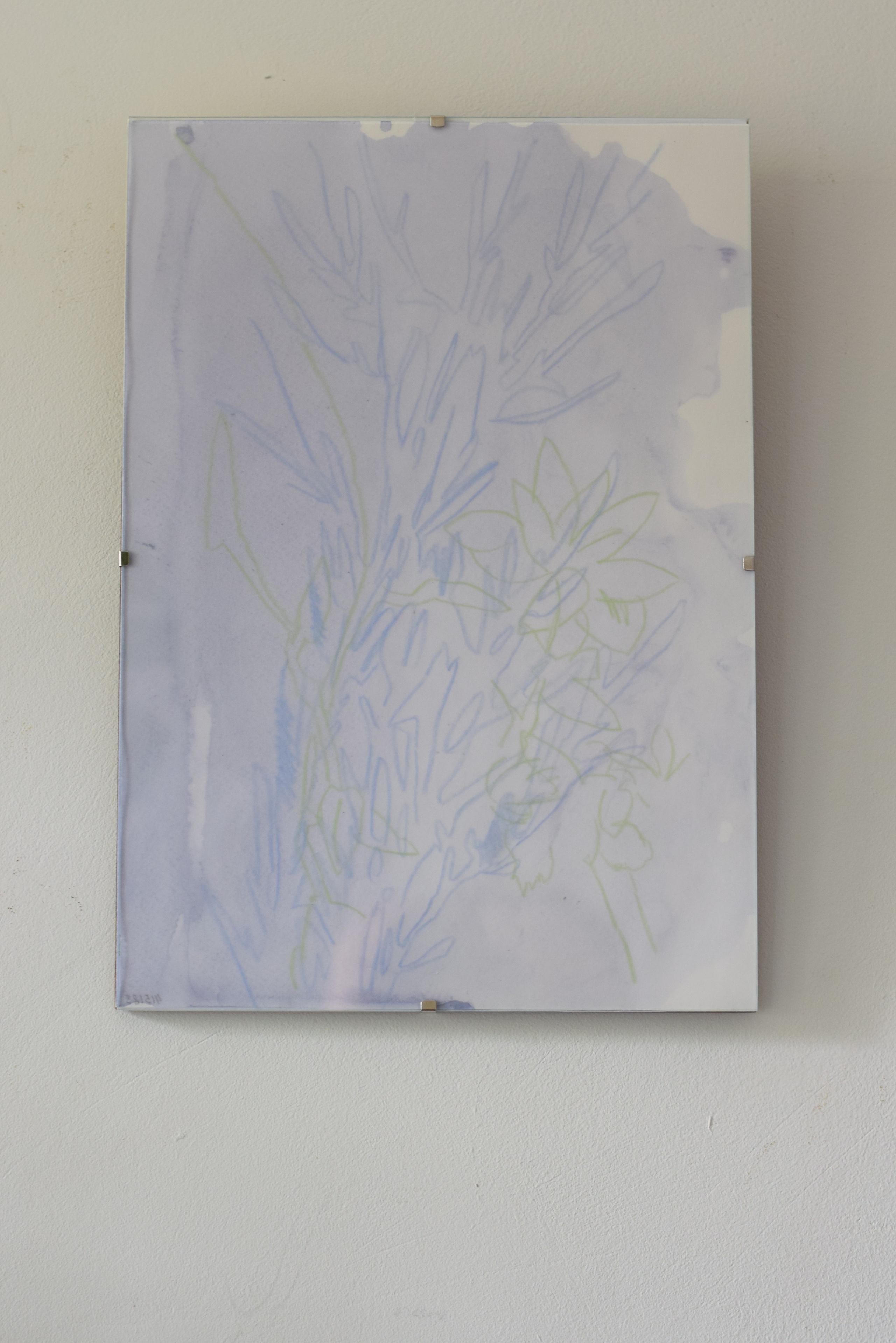 Графика FLWRS. Современный художник в Москве Анастасия Малиновская