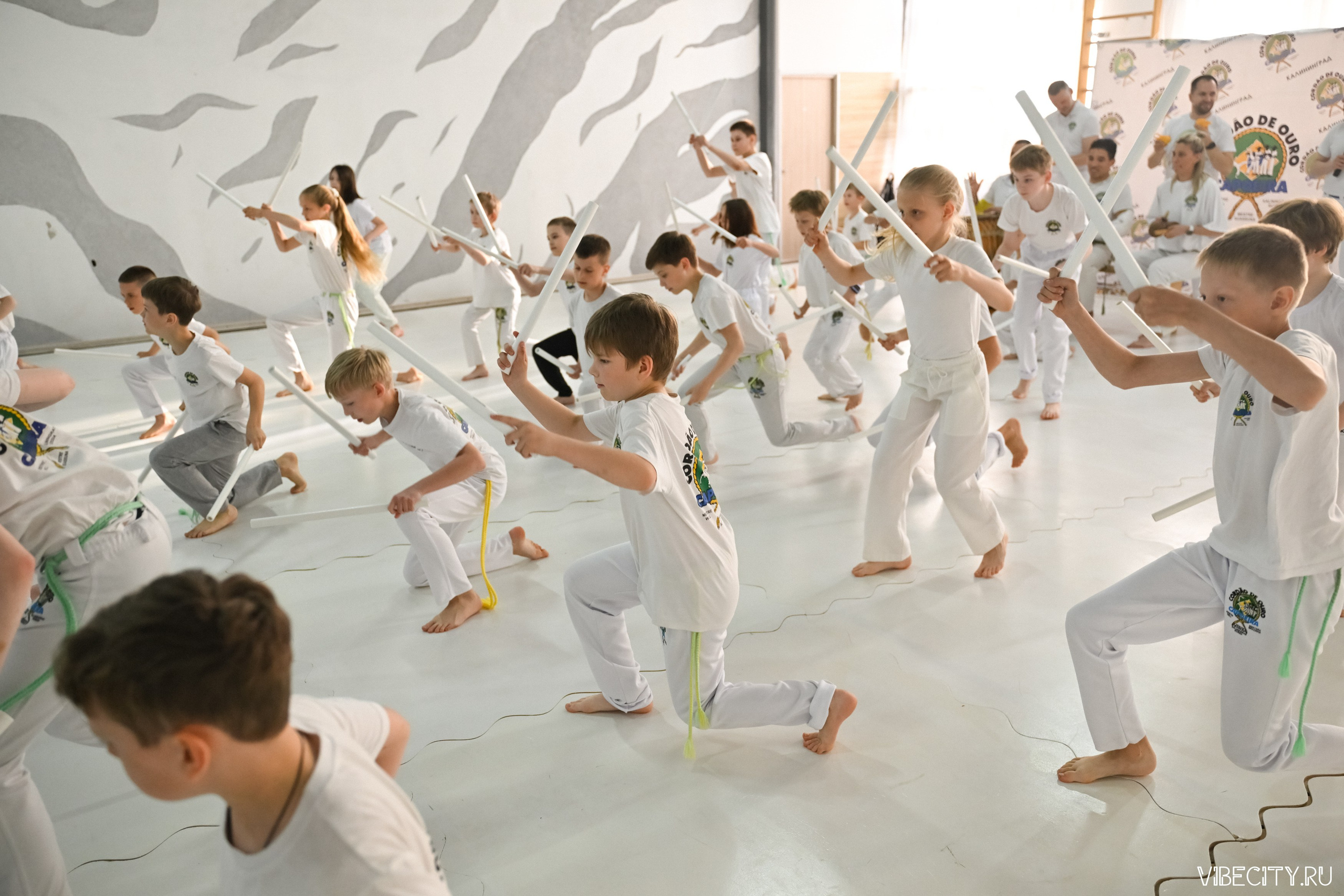 Capoeira: 4-е batizado e Troca de cordao. VIBECITY.RU Вайб Сити Ру Фоторепортажи Фотоотчеты Калининград