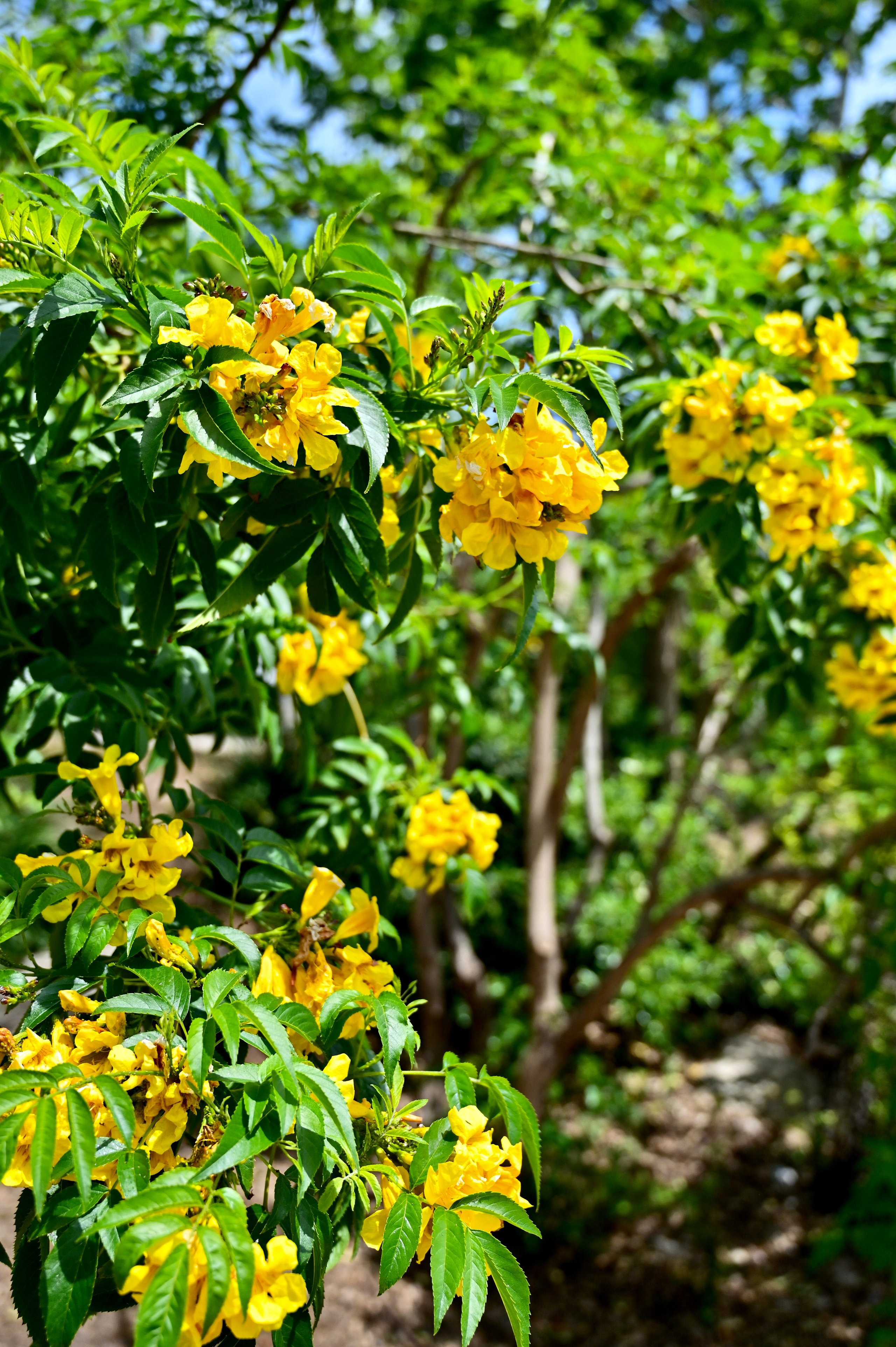 Парки Валенсии. Гид и фотограф в Валенсии Новиков Михаил