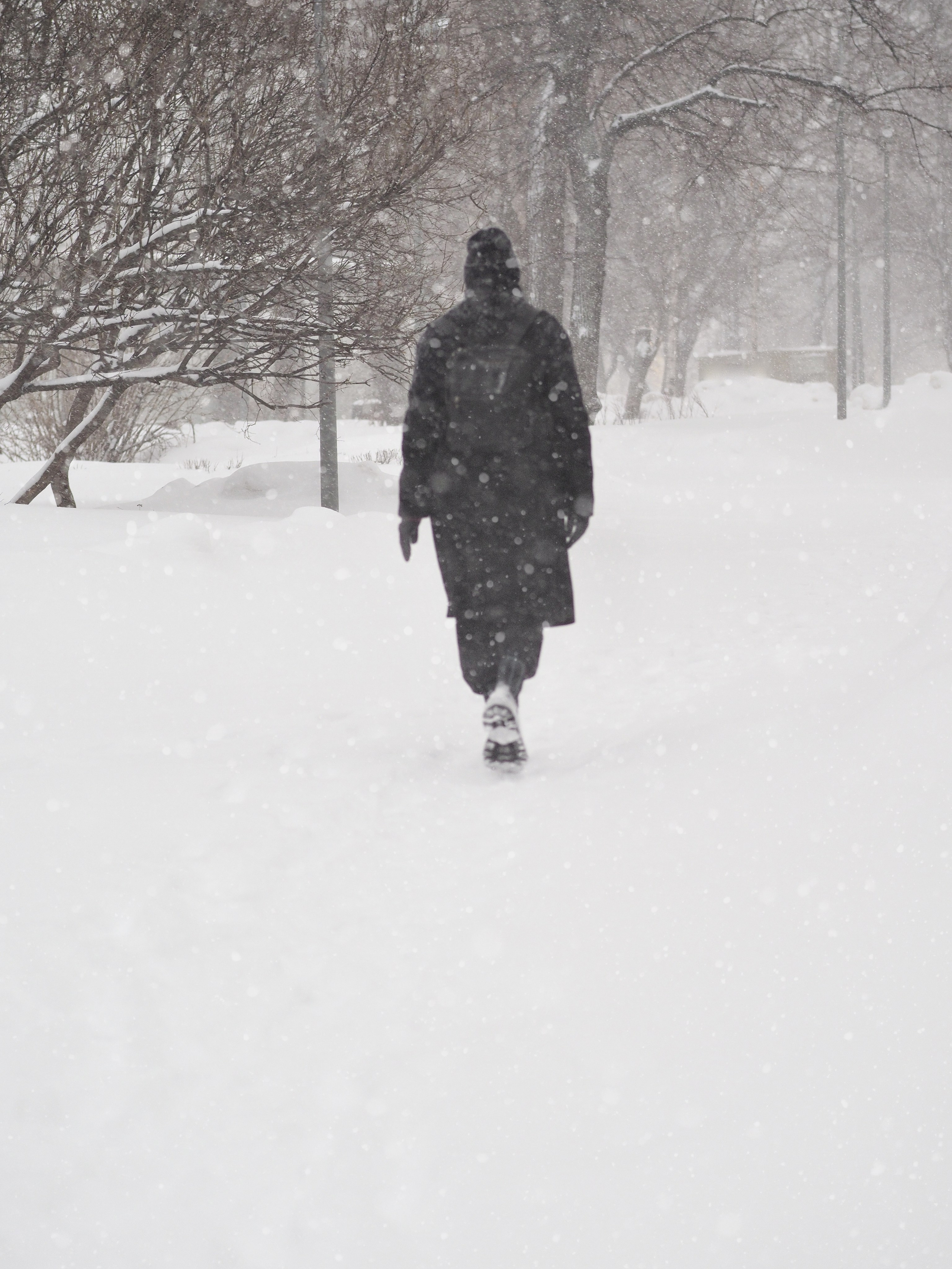 СНЕЖНОСТЬ. Семейный фотограф в Красноярске Лизоркина Вера