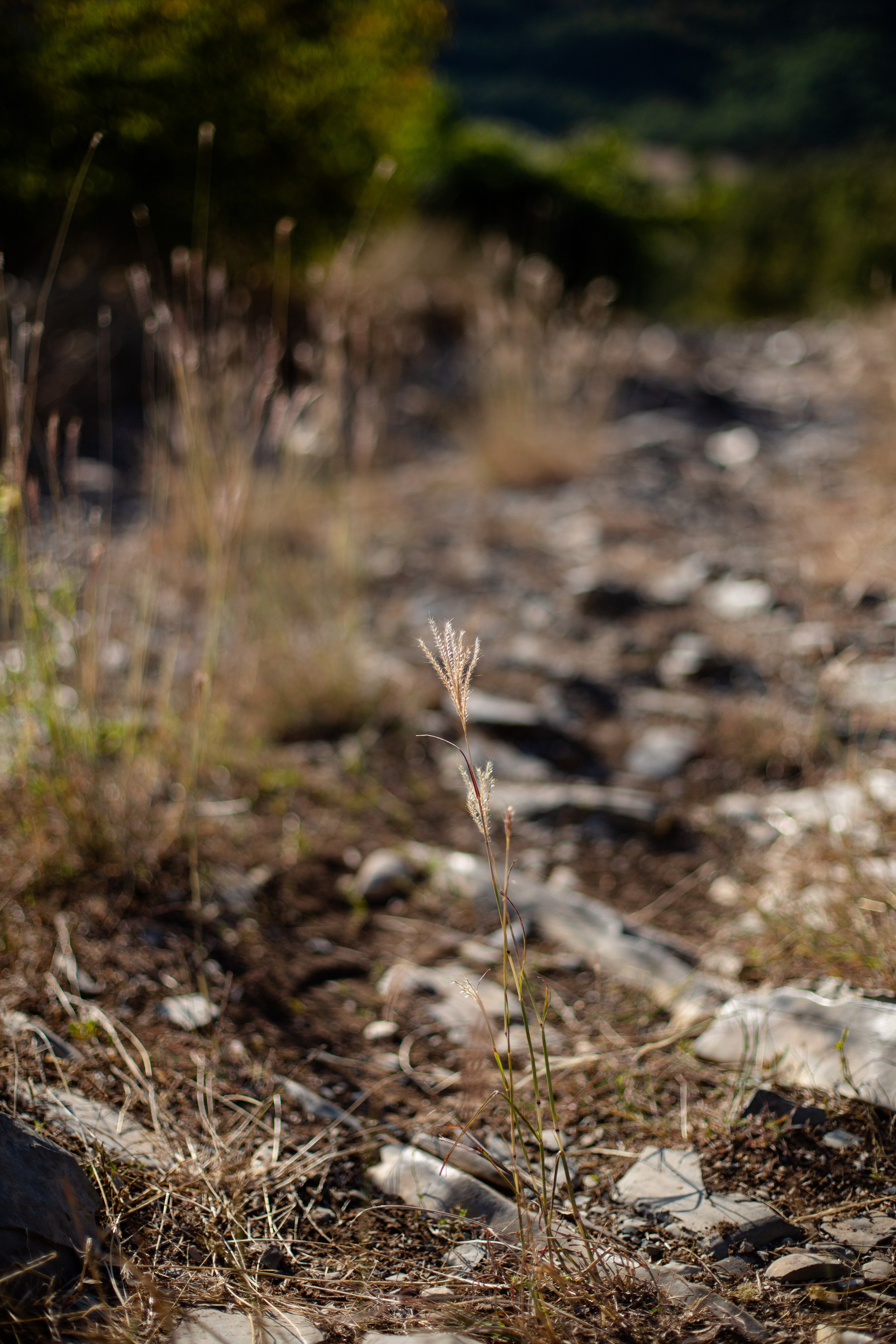 Дороги земли ветров. Портретный фотограф в Москве и Геленджике Кирилл Вахитов
