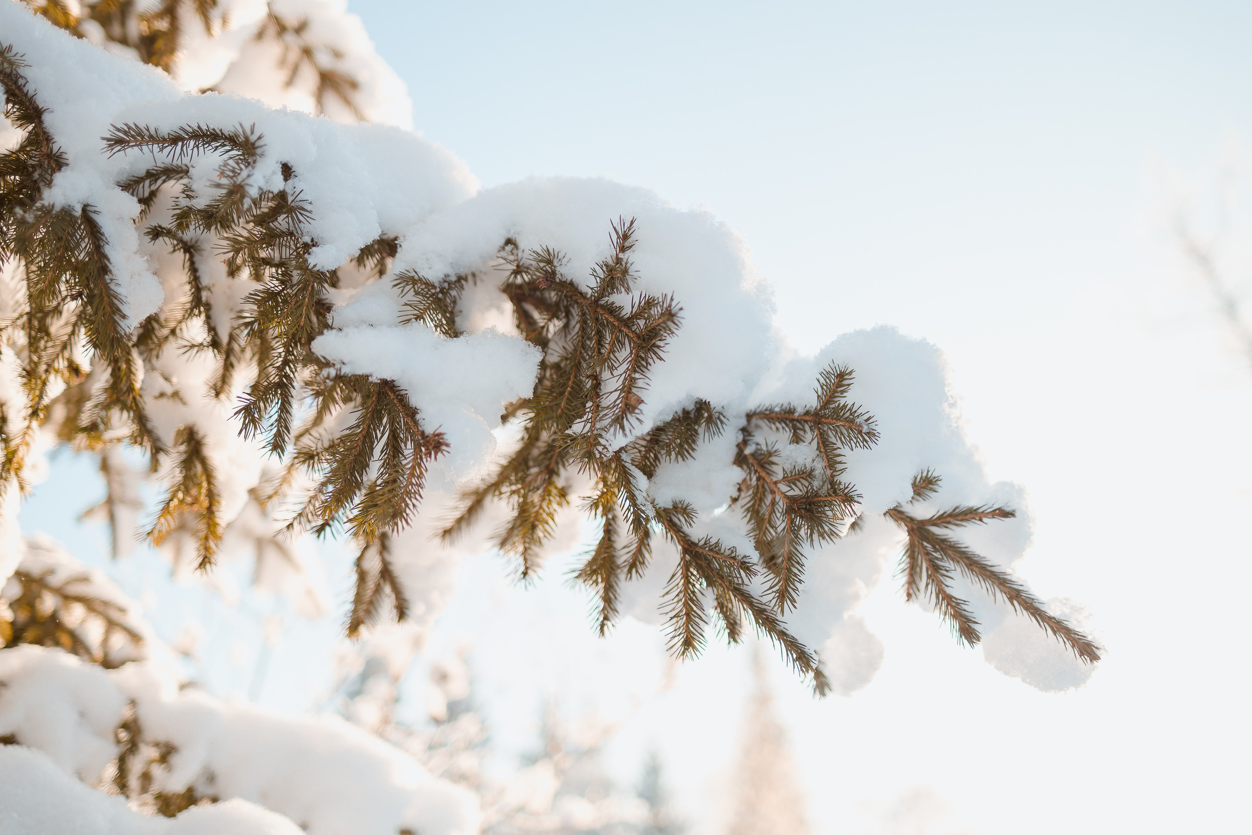 Зима 2023, -30. Семейный и детский фотограф в Железногорске Саламахо Ольга